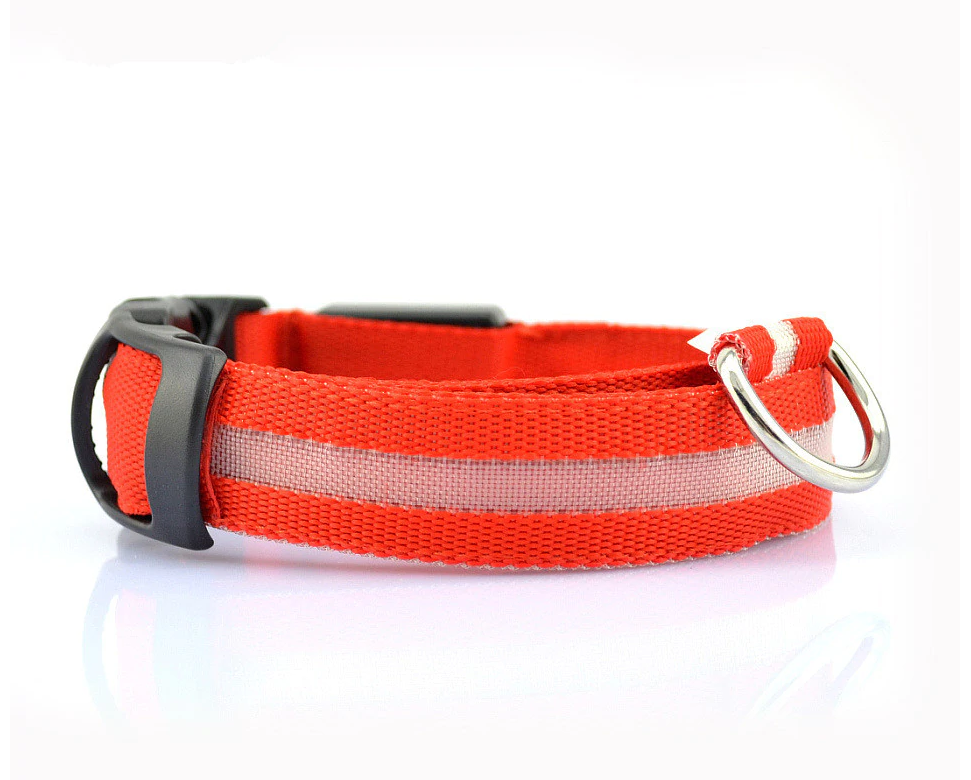 Svietiaci obojok 34 - 42 cm
