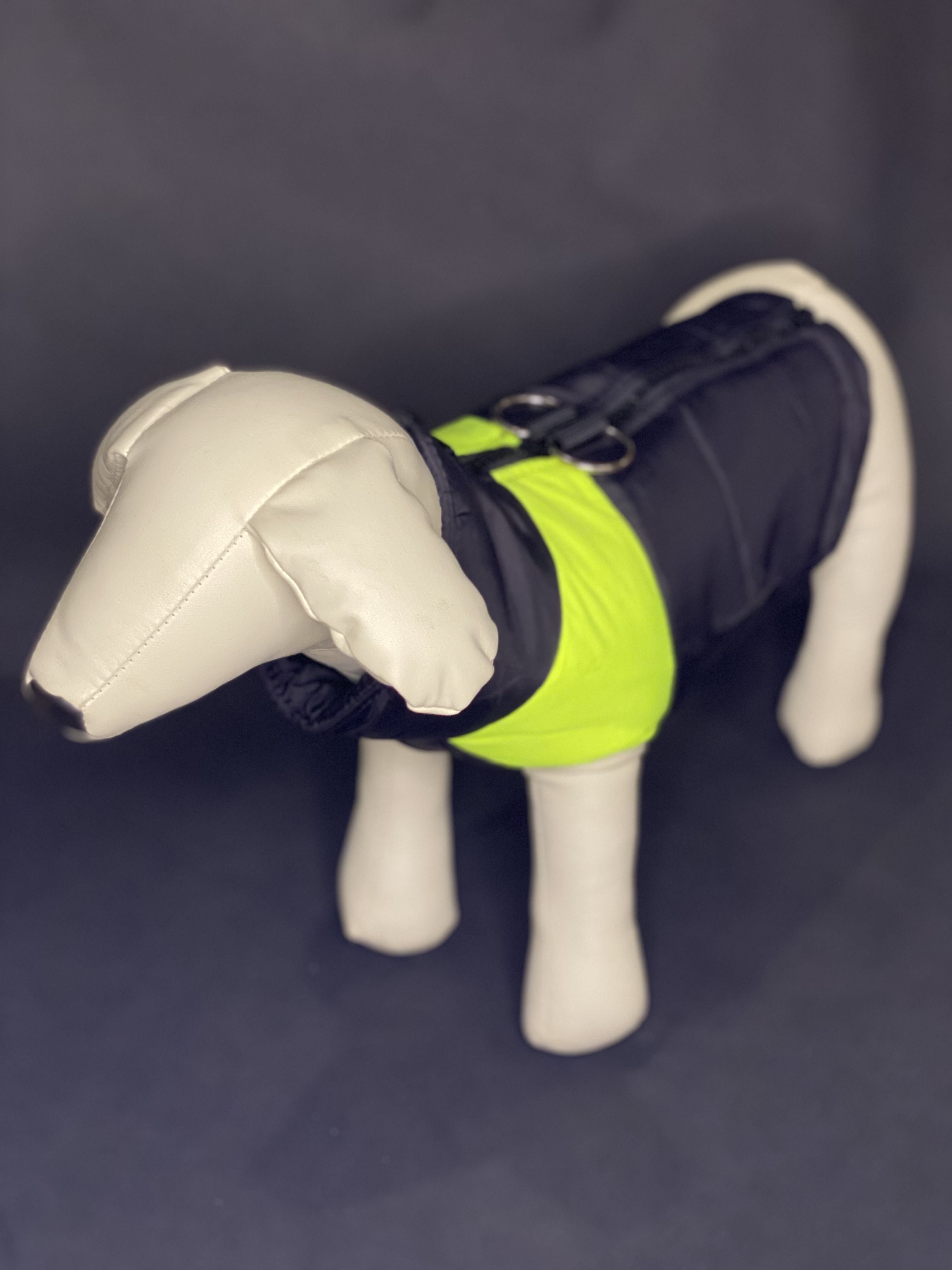  Iron bunda pre psa fosforová veľ. XXL