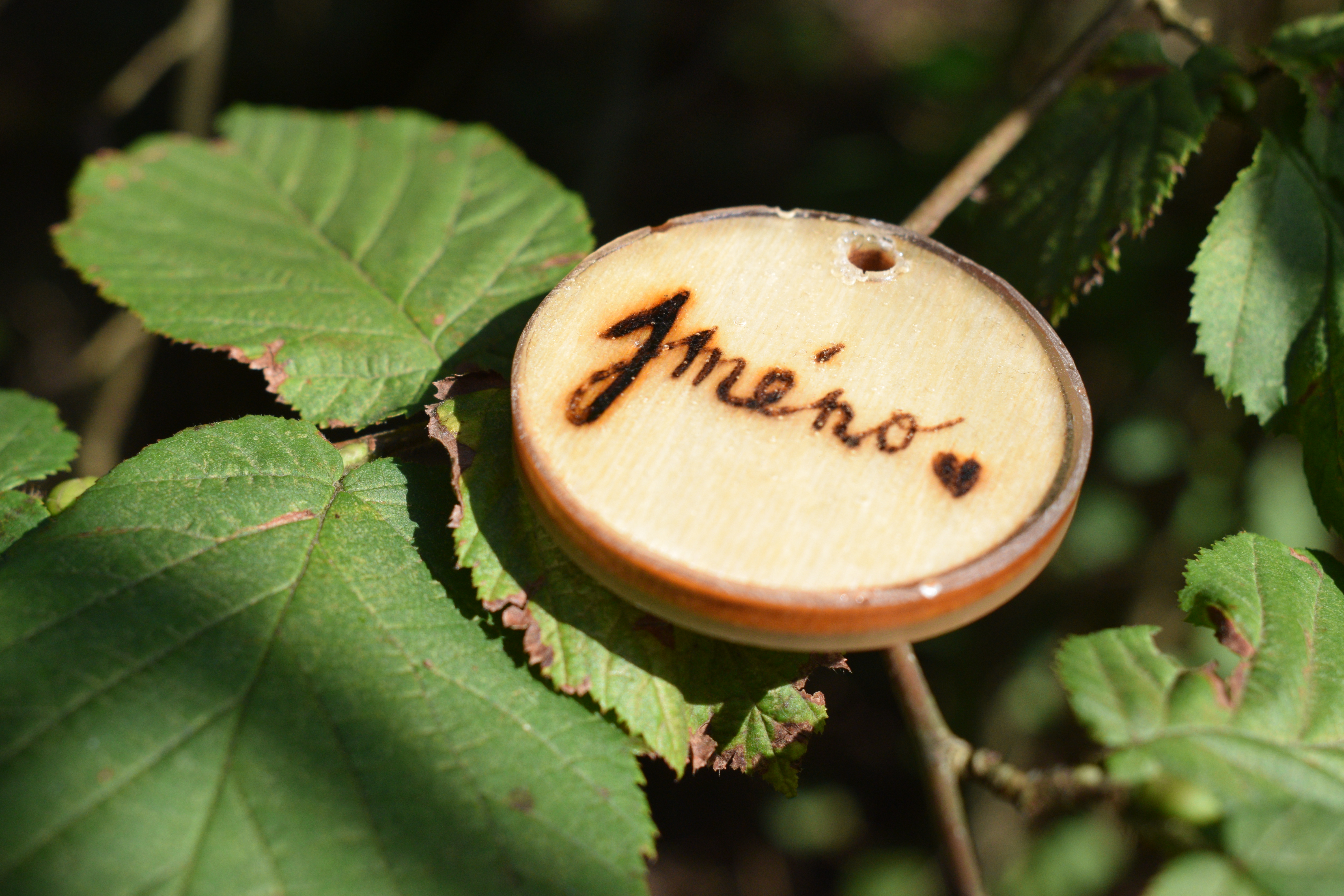 WOODY Drevená známka pre psa - koliesko