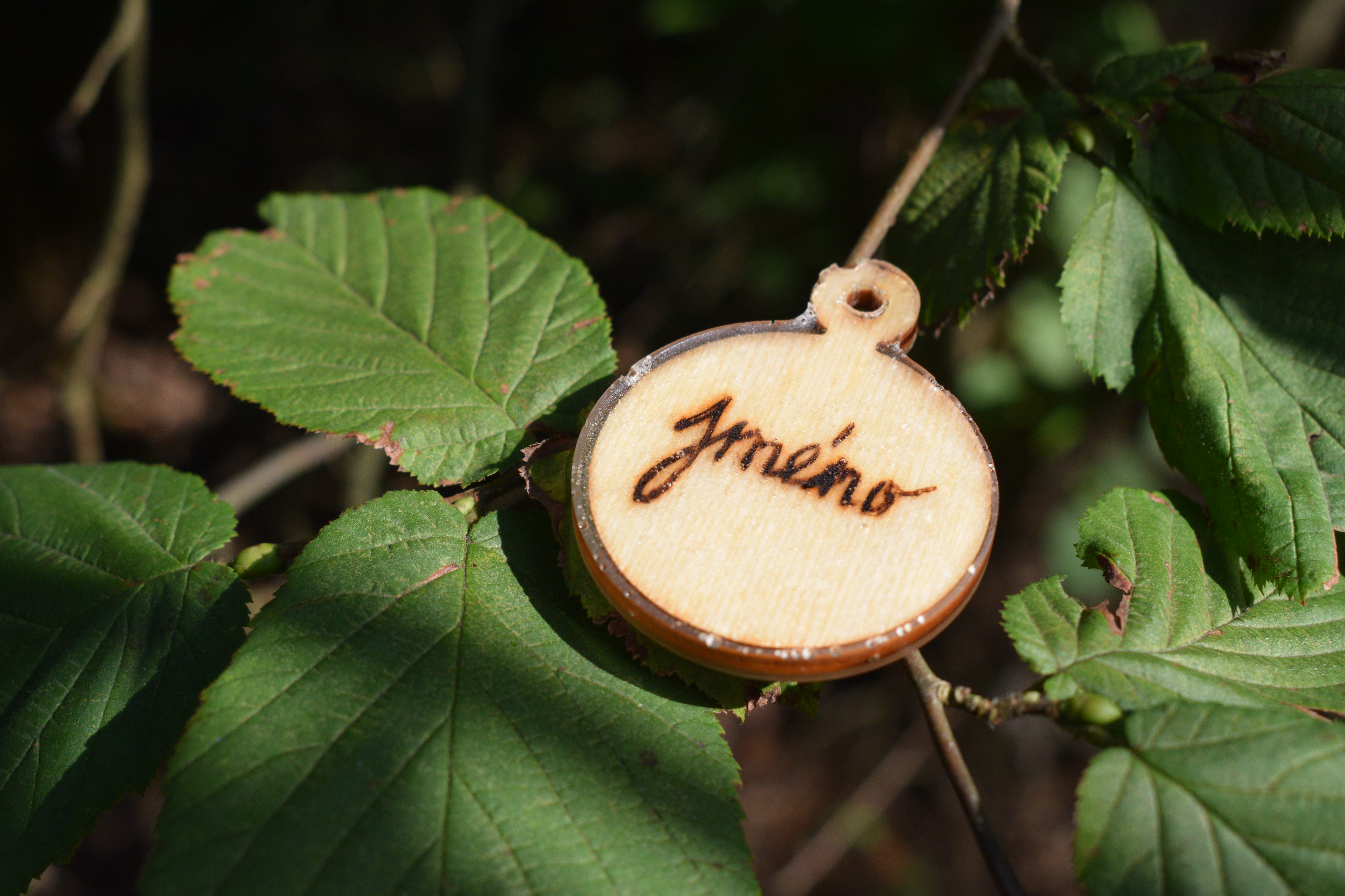 WOODY Drevená známka pre psa - koliesko C