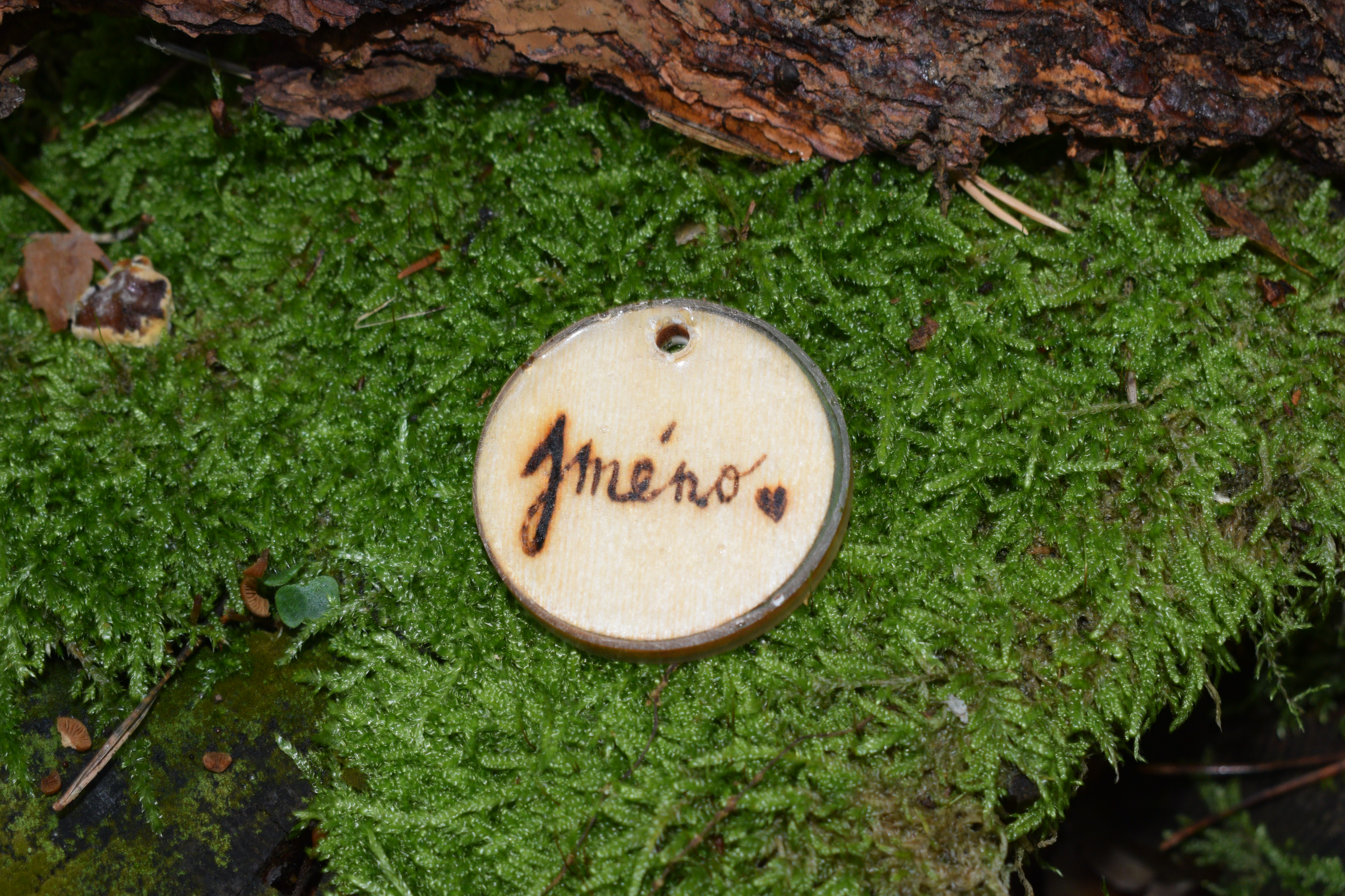 SMART Drevená známka pre psa s QR kódom - koliesko