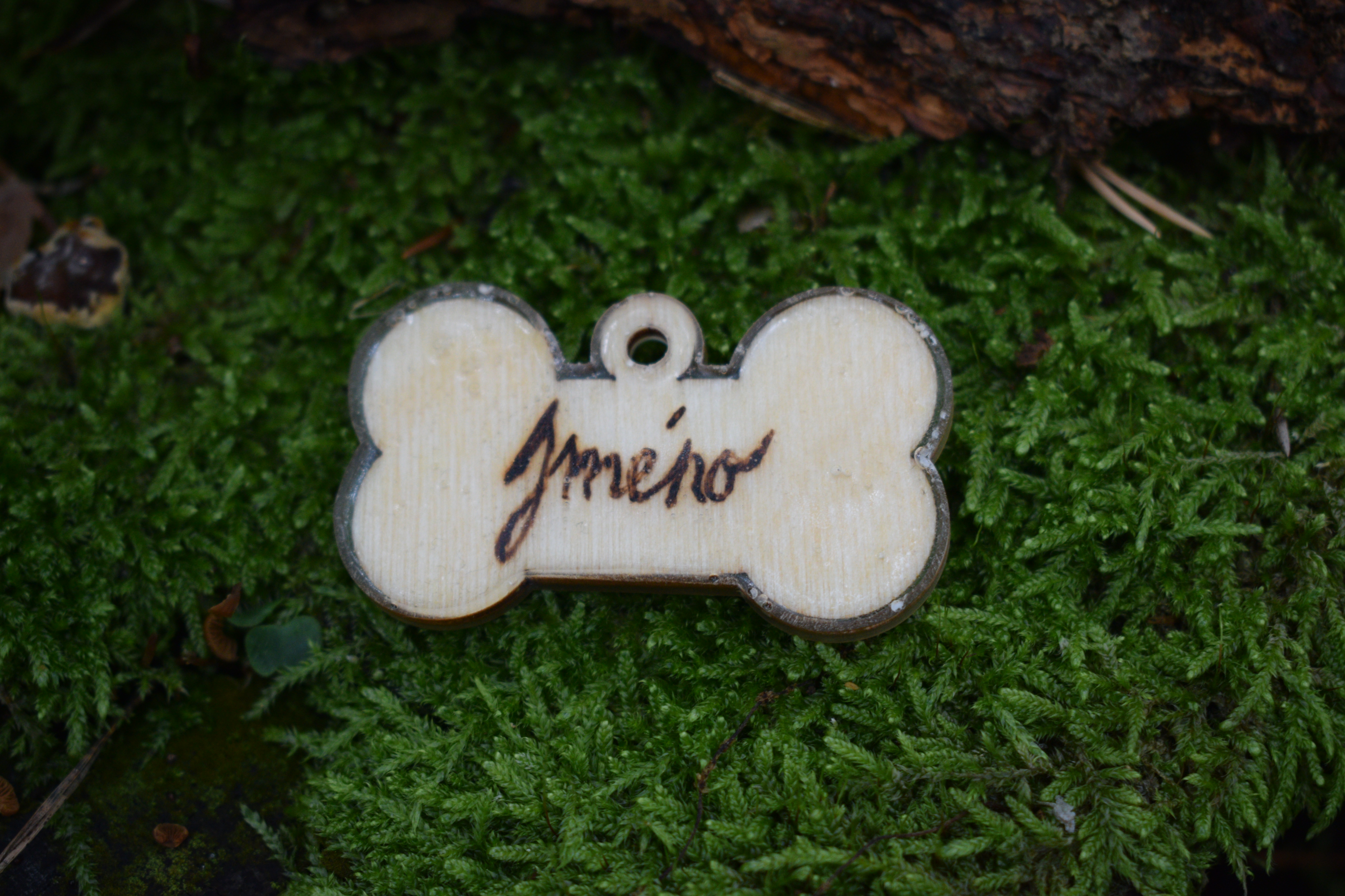 SMART Drevená známka pre psa s QR kódom - kocka