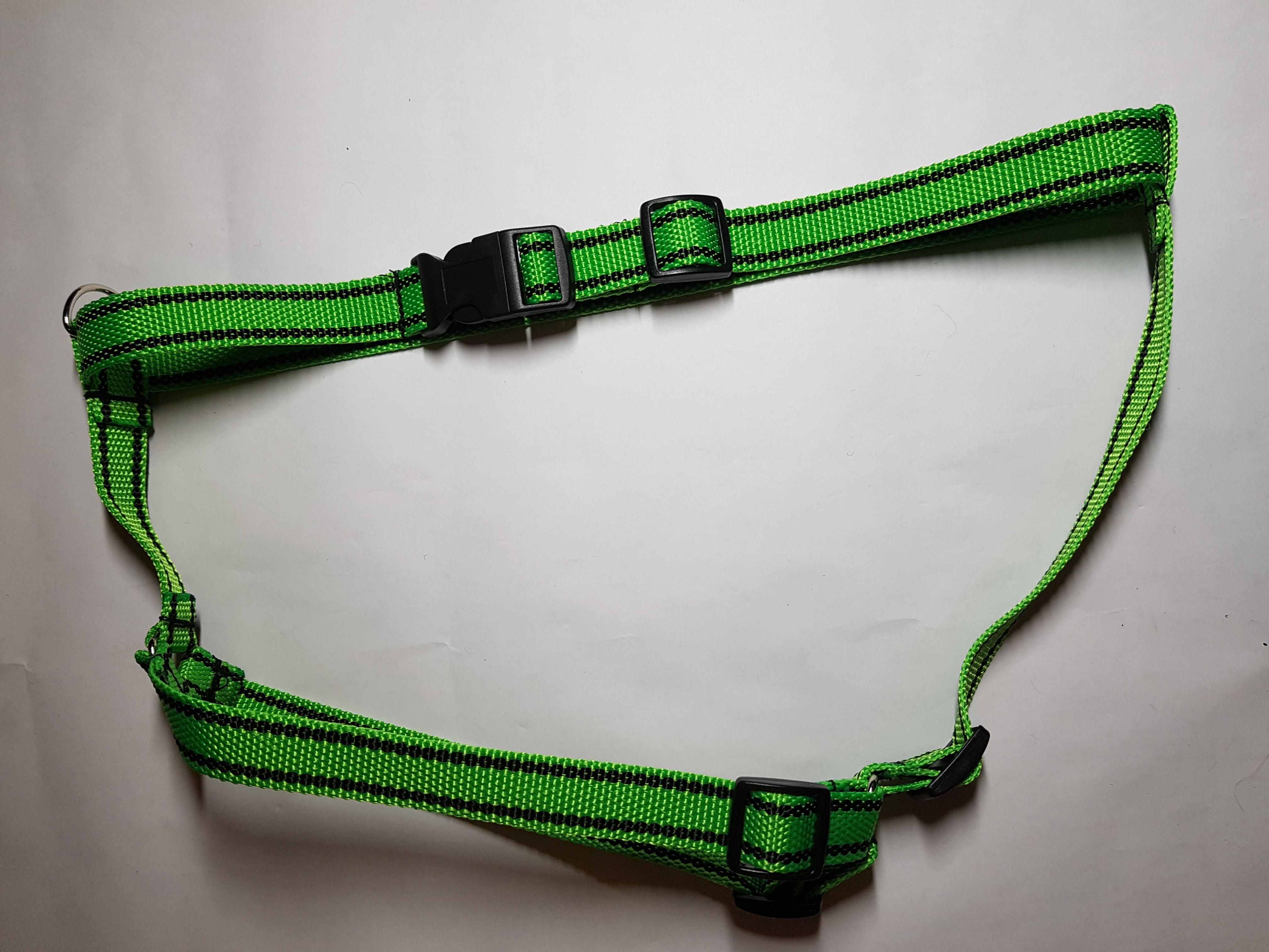 Palkar klasický postroj pre psov 52 cm - 90 cm veľ. 4 svetlo-zelená s páskami