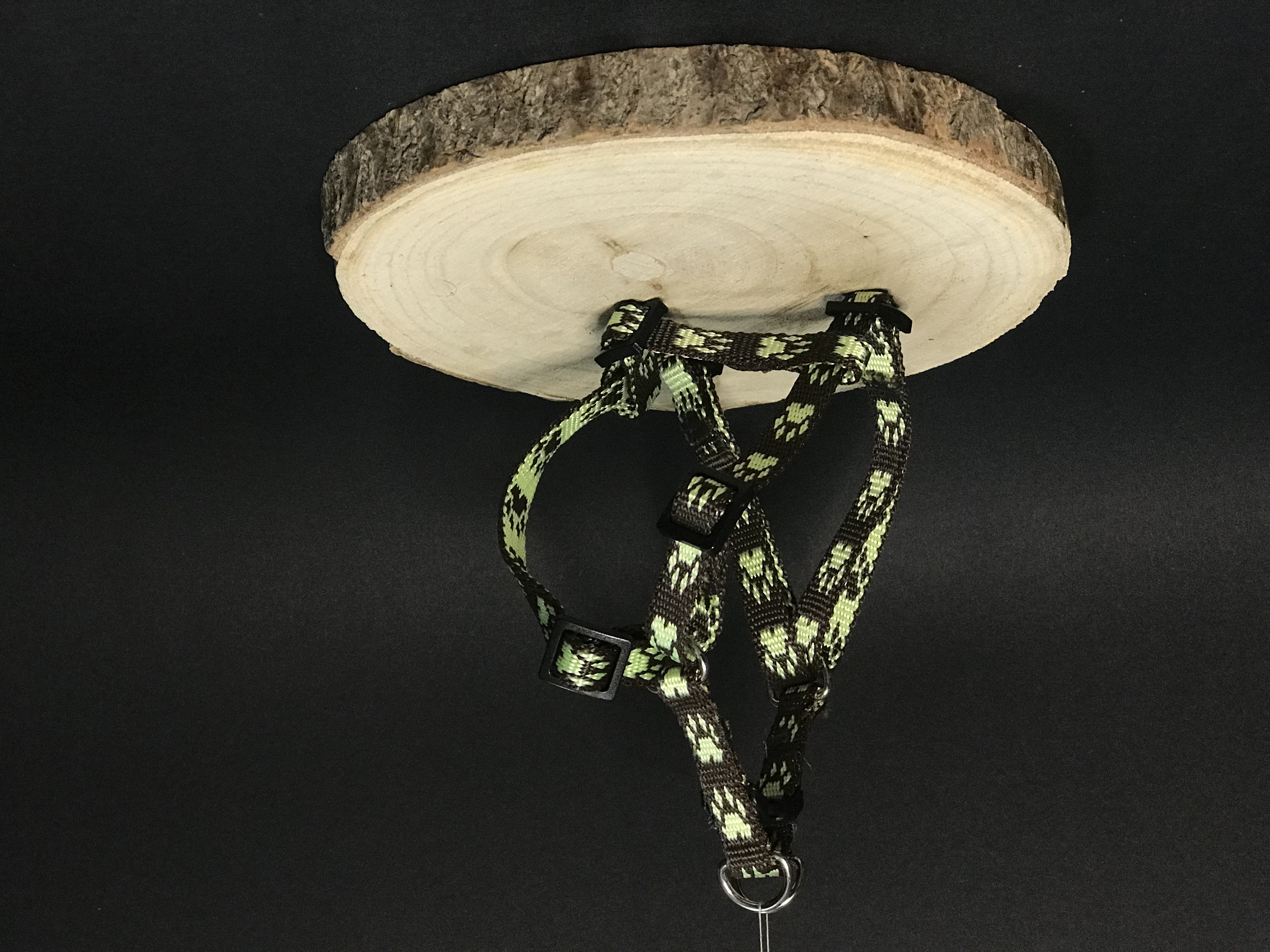 Palkar motýlik postroj pre psov 28 cm - 40 cm veľ. 1 hnedo-biela s labkami