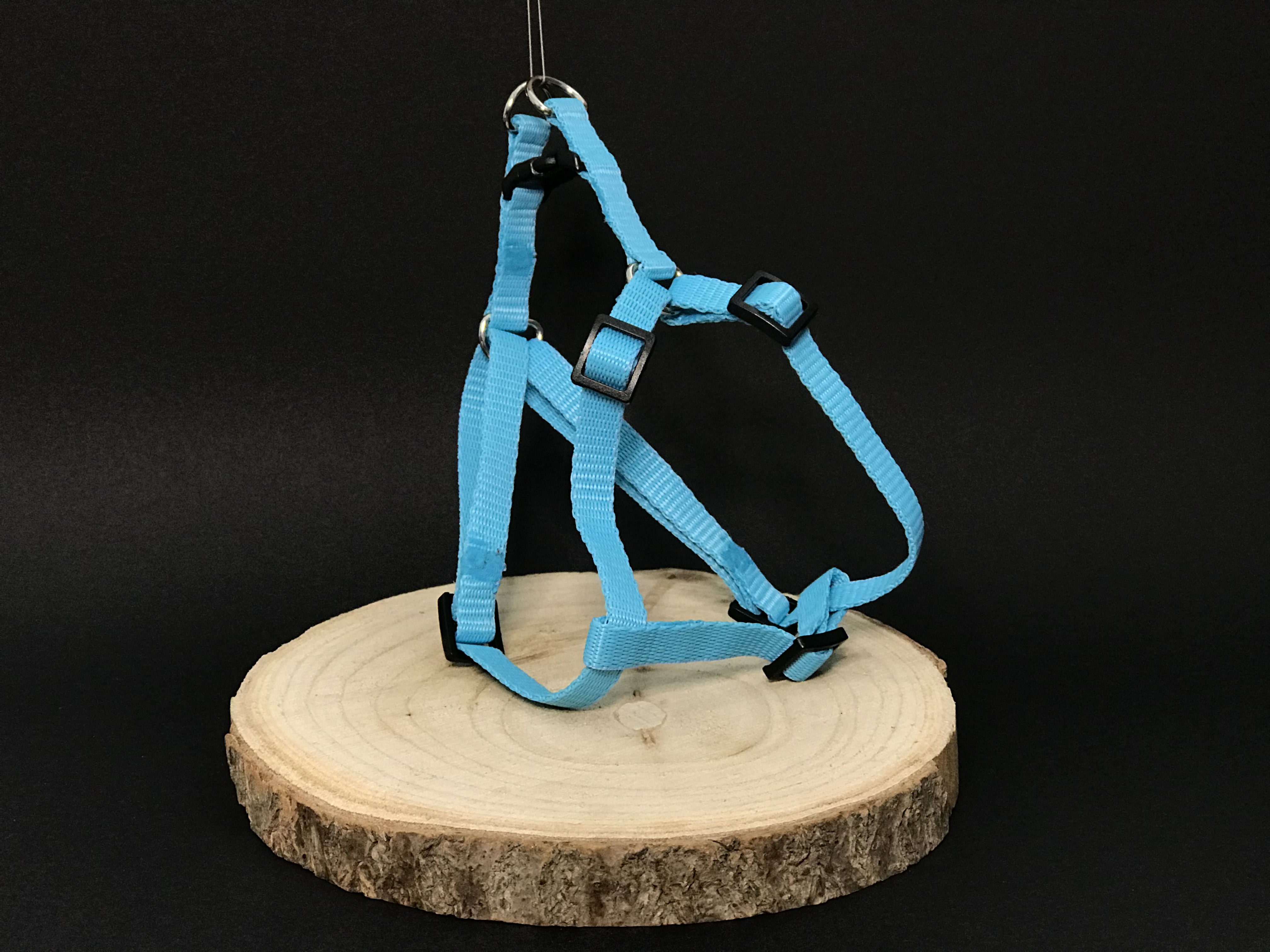Palkar motýlik postroj pre psov 28 cm - 40 cm veľ. 1 tyrkysová