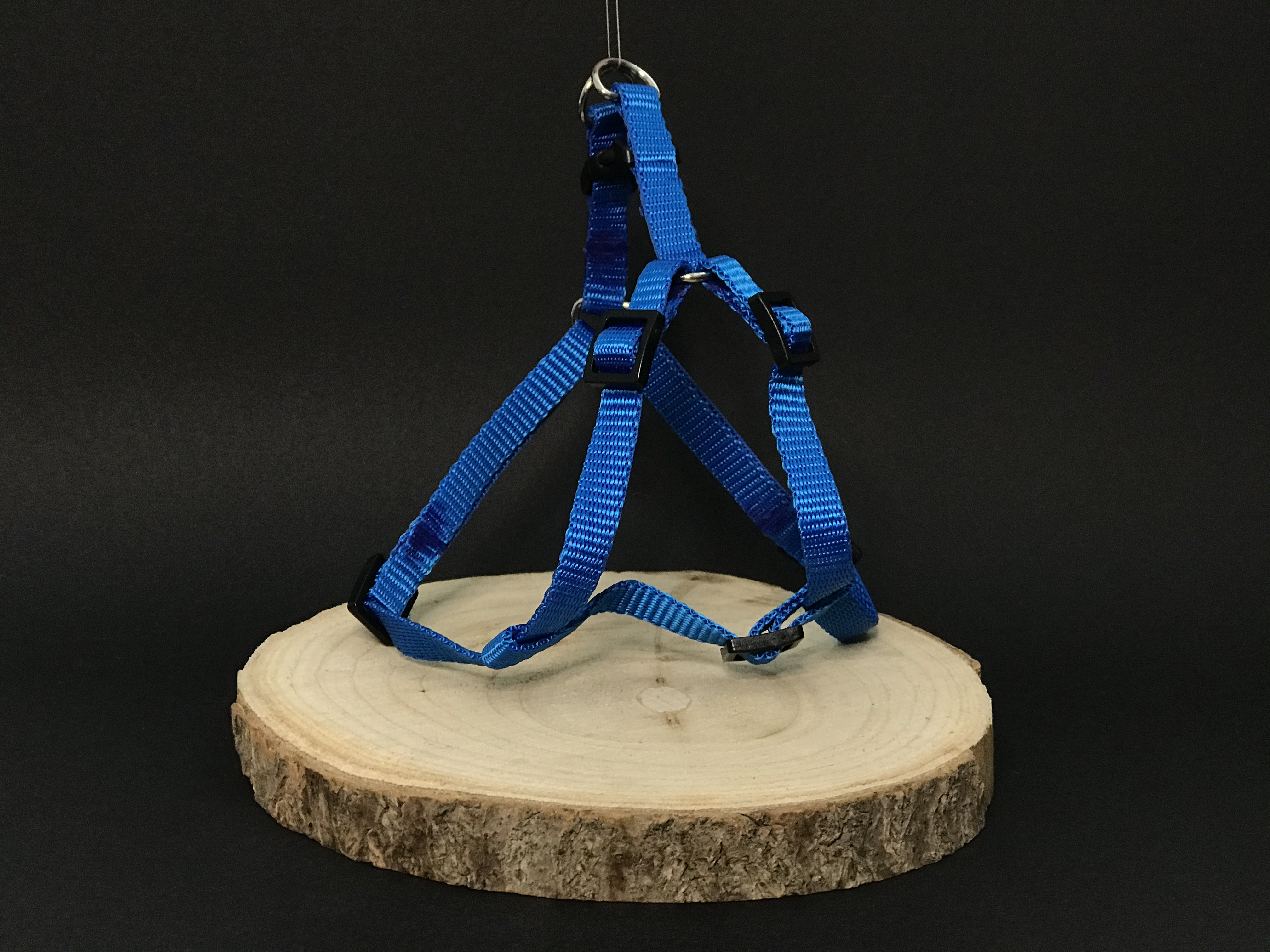 Palkar motýlik postroj pre psov 28 cm - 40 cm veľ. 1 modrá