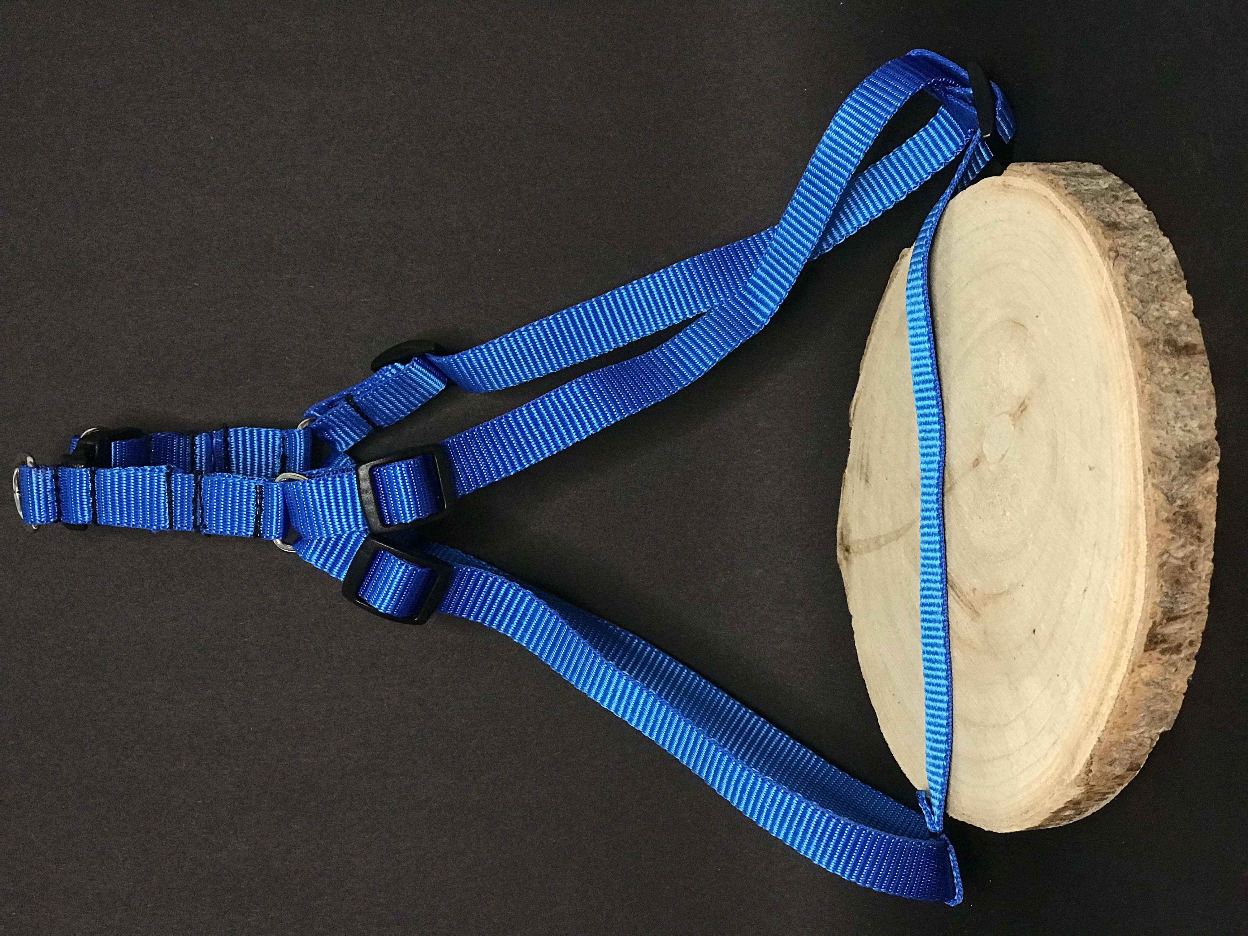 Palkar motýlik postroj pre psov 44 cm - 62 cm veľ. 2 modrá