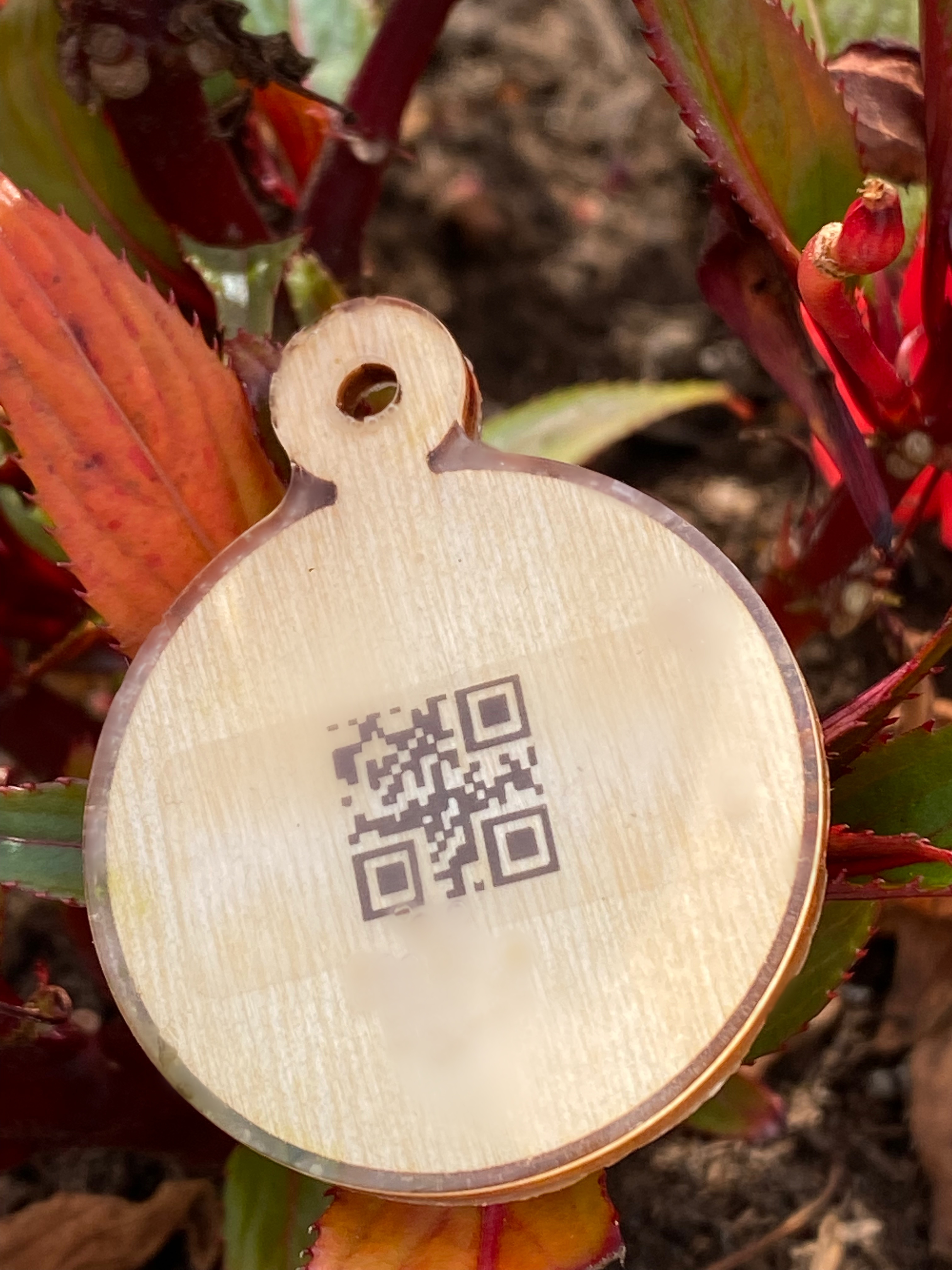 SMART Drevená známka pre psa s QR kódom - srdiečko
