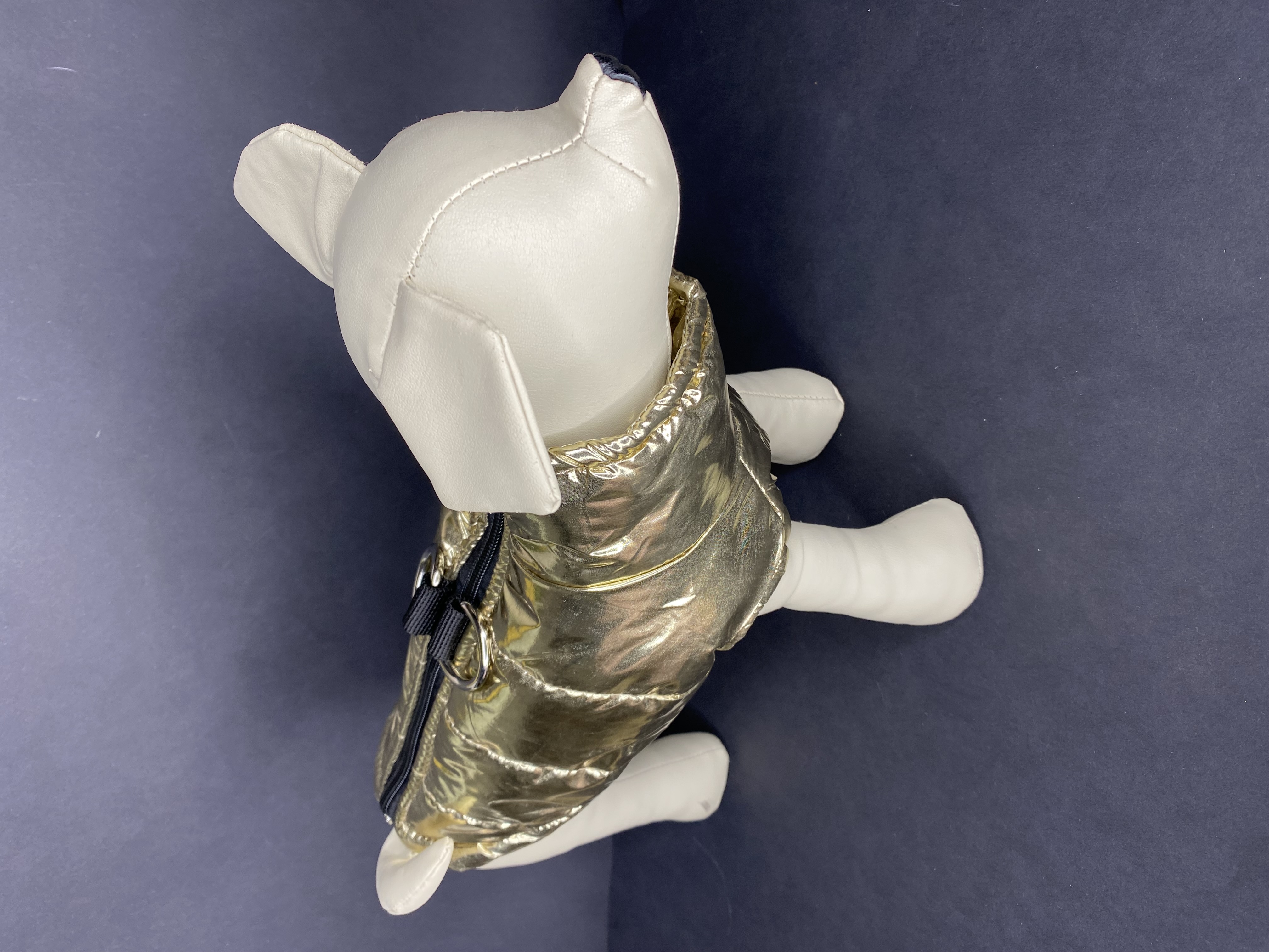 SHINE bunda pre psa zlatá veľ. XXL