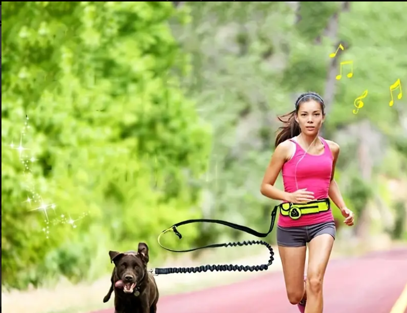 Berry set vodítko na behanie s amortizérom modrý