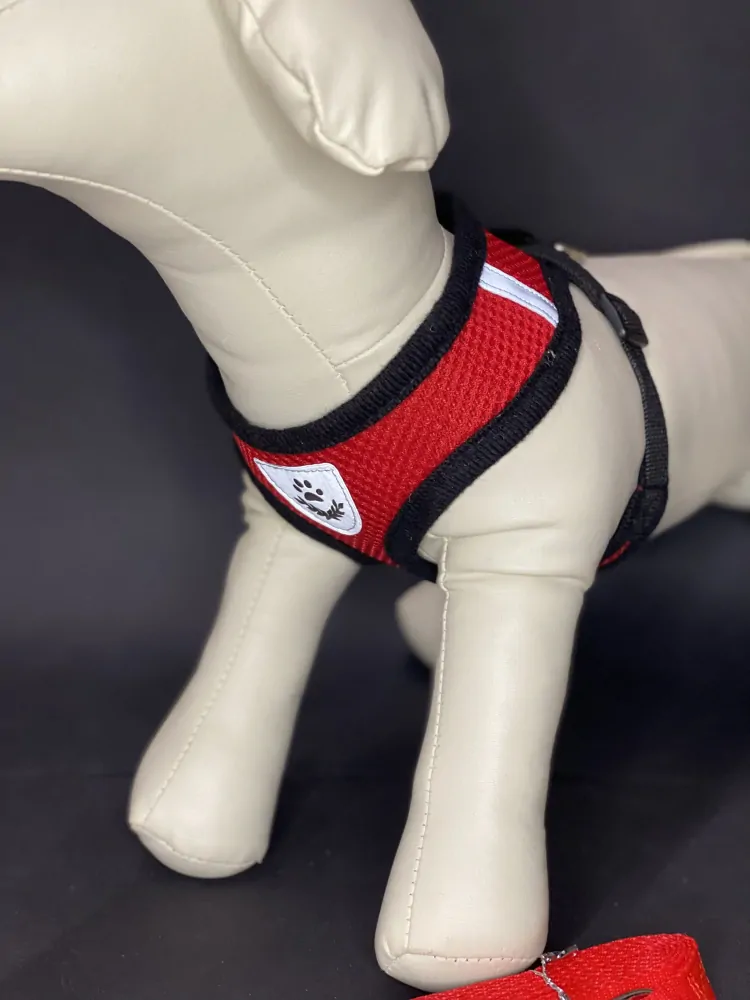 REFLEX Šírky pre psa s vodítkom S - červené