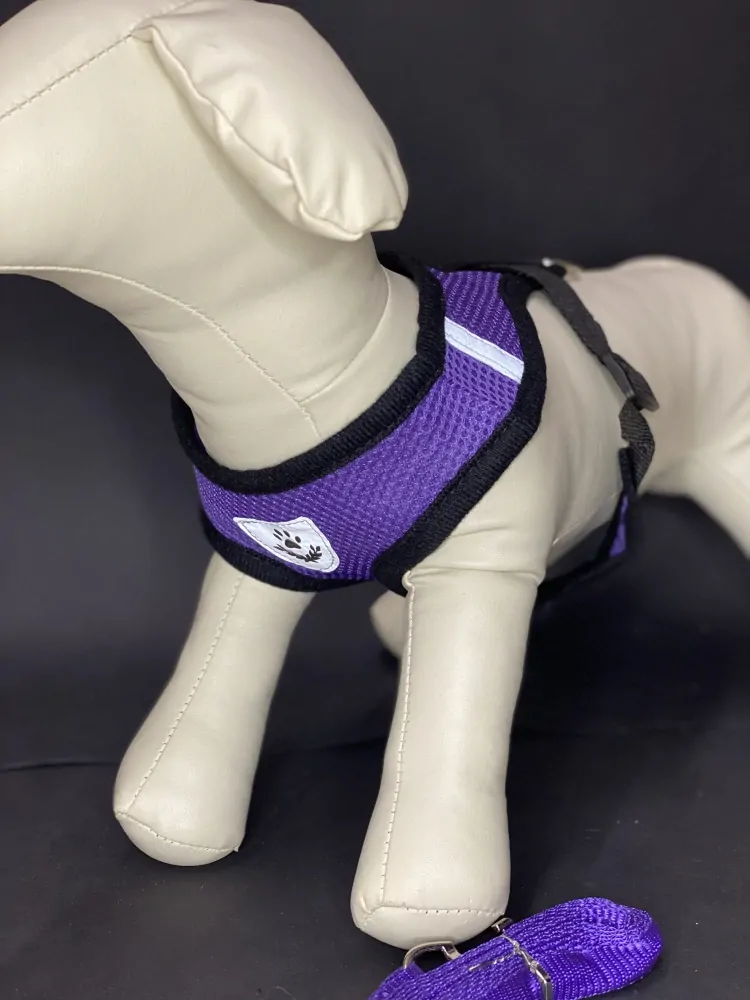 REFLEX Šírky pre psa s vodítkom S - fialové