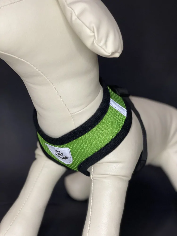 REFLEX Šírky pre psa s vodítkom S - zelené