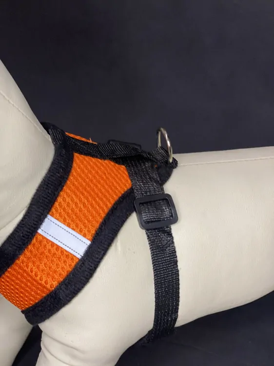 REFLEX Šírky pre psa s vodítkom XL - oranžové