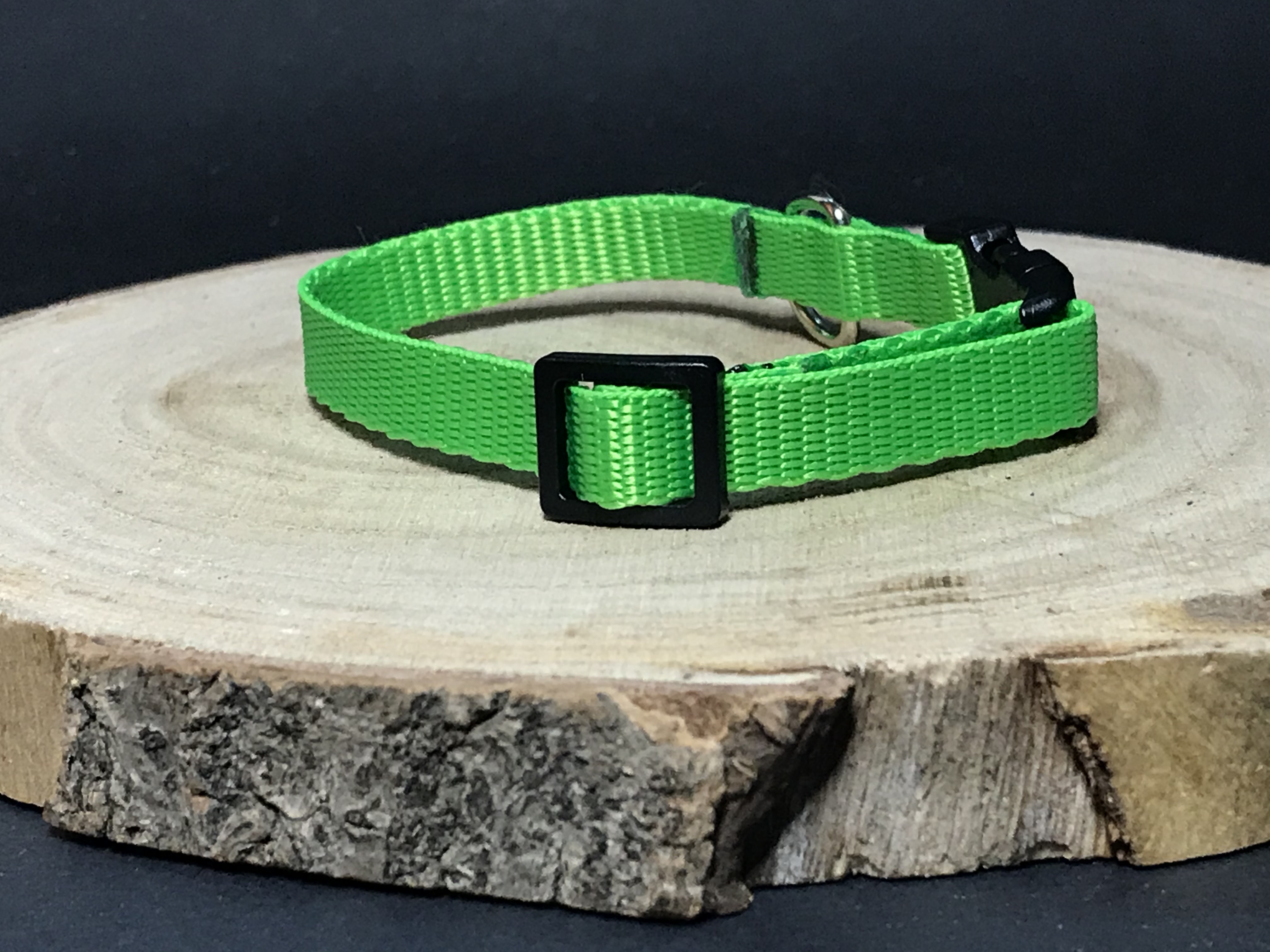 Palkar obojok z popruhu pre psov 25 cm x 10 mm zelená