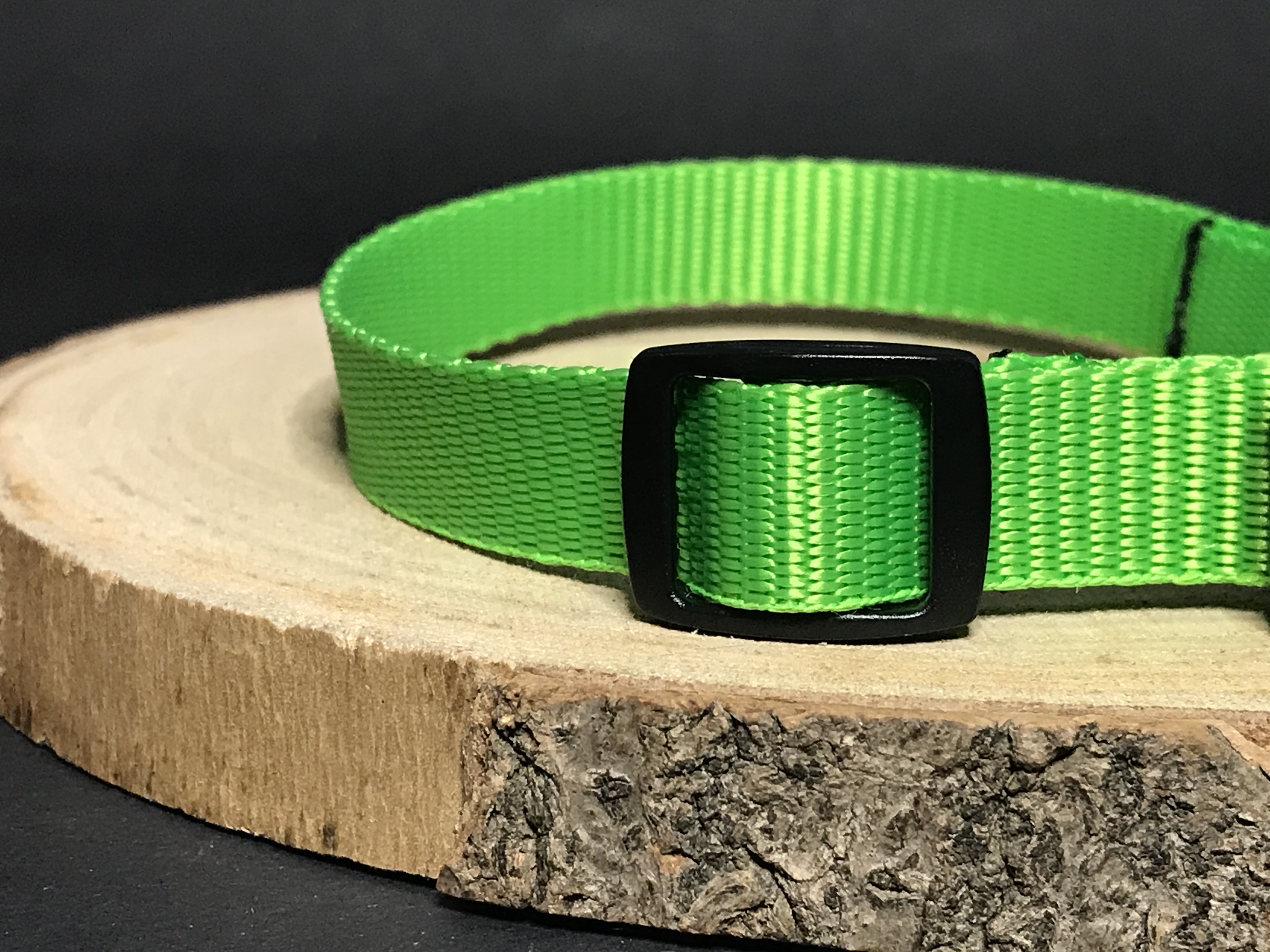 Palkar obojok z popruhu pre psov 35 cm x 16 mm zelená