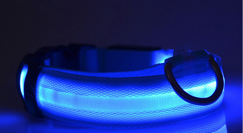 Palkar svietiaci obojok z popruhu pre psov 40-54 cm x 25 mm modrá