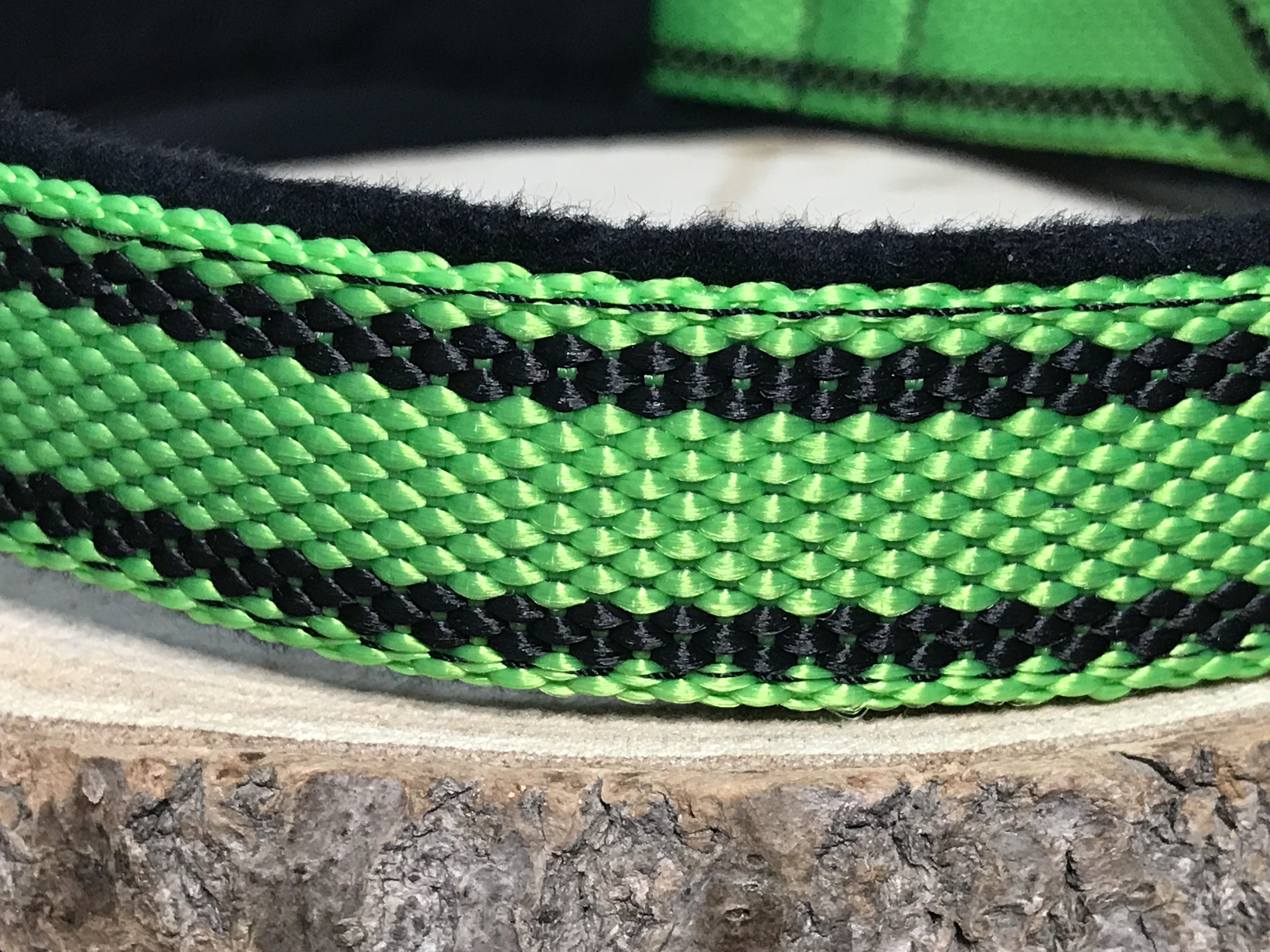 Palkar podšitý obojok z popruhu pre psov 65 cm x 25 mm svetlo-zelená s páskami