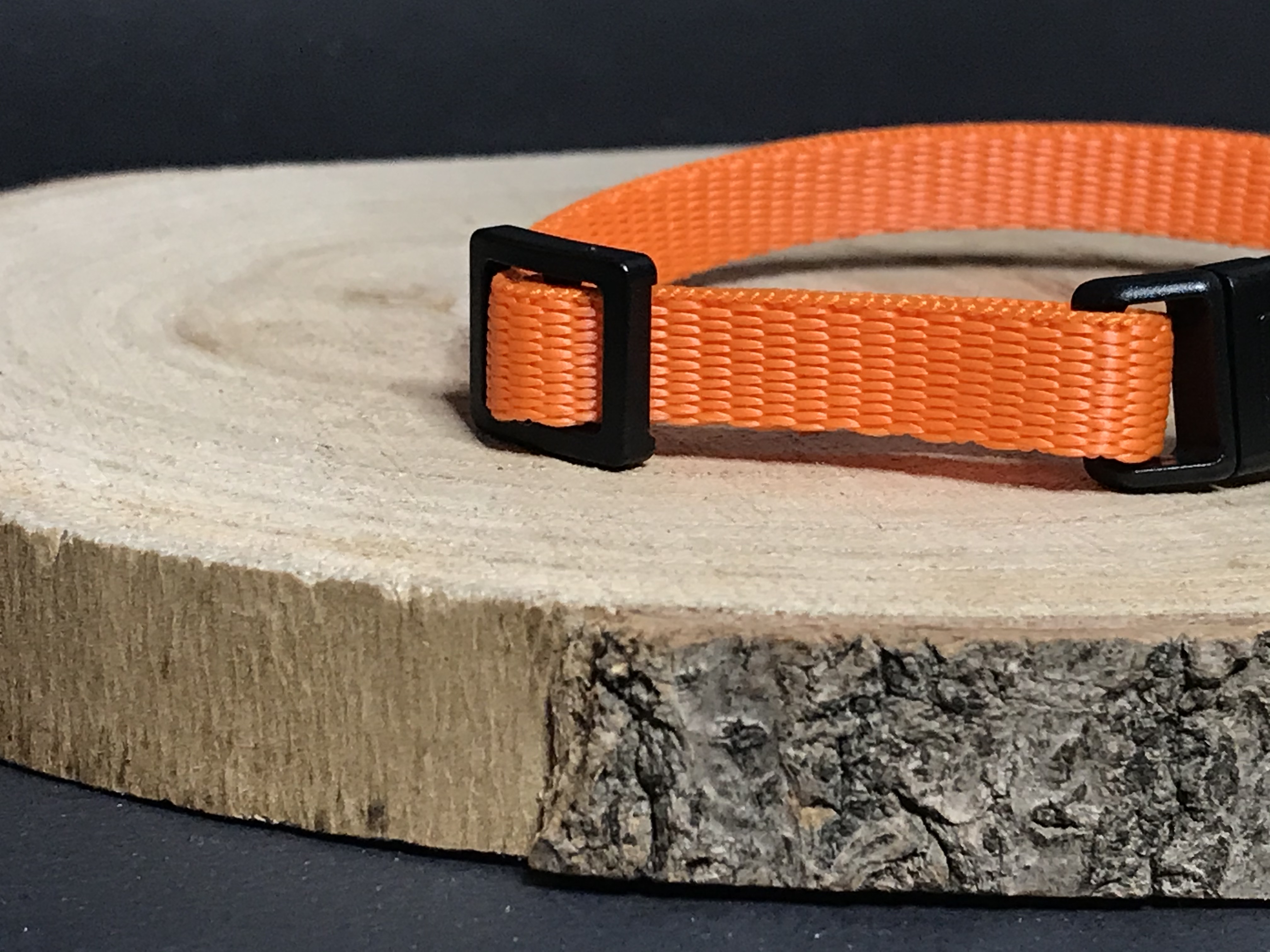 Palkar obojok z popruhu pre psov 25 cm x 10 mm oranžová