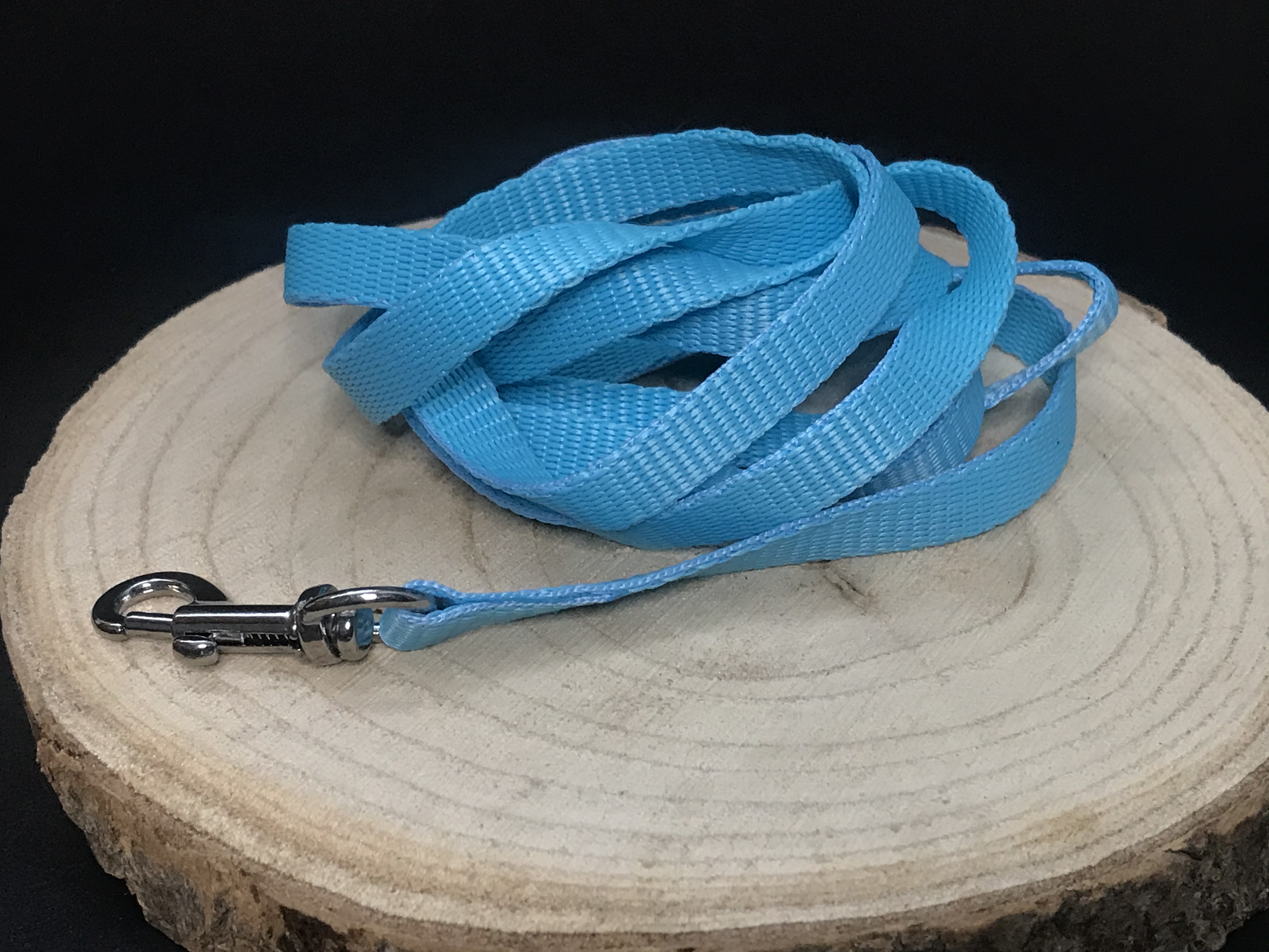 Palkar vodítko z popruhu pre psov 150 cm x 10 mm svetlo-modrá