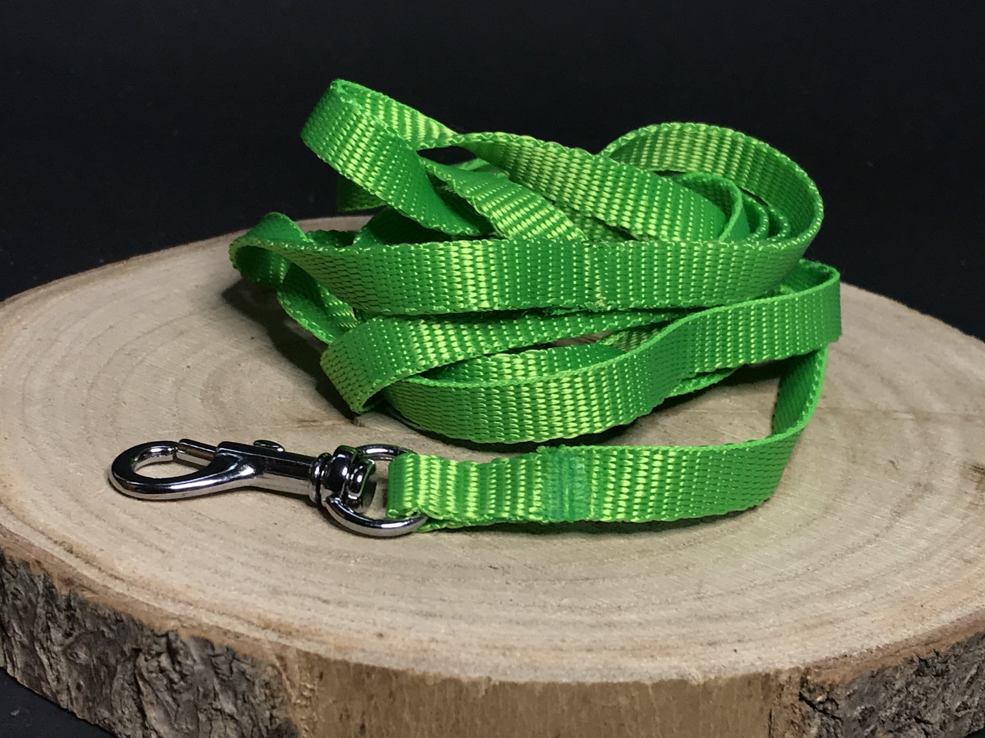 Palkar vodítko z popruhu pre psov 150 cm x 10 mm zelená