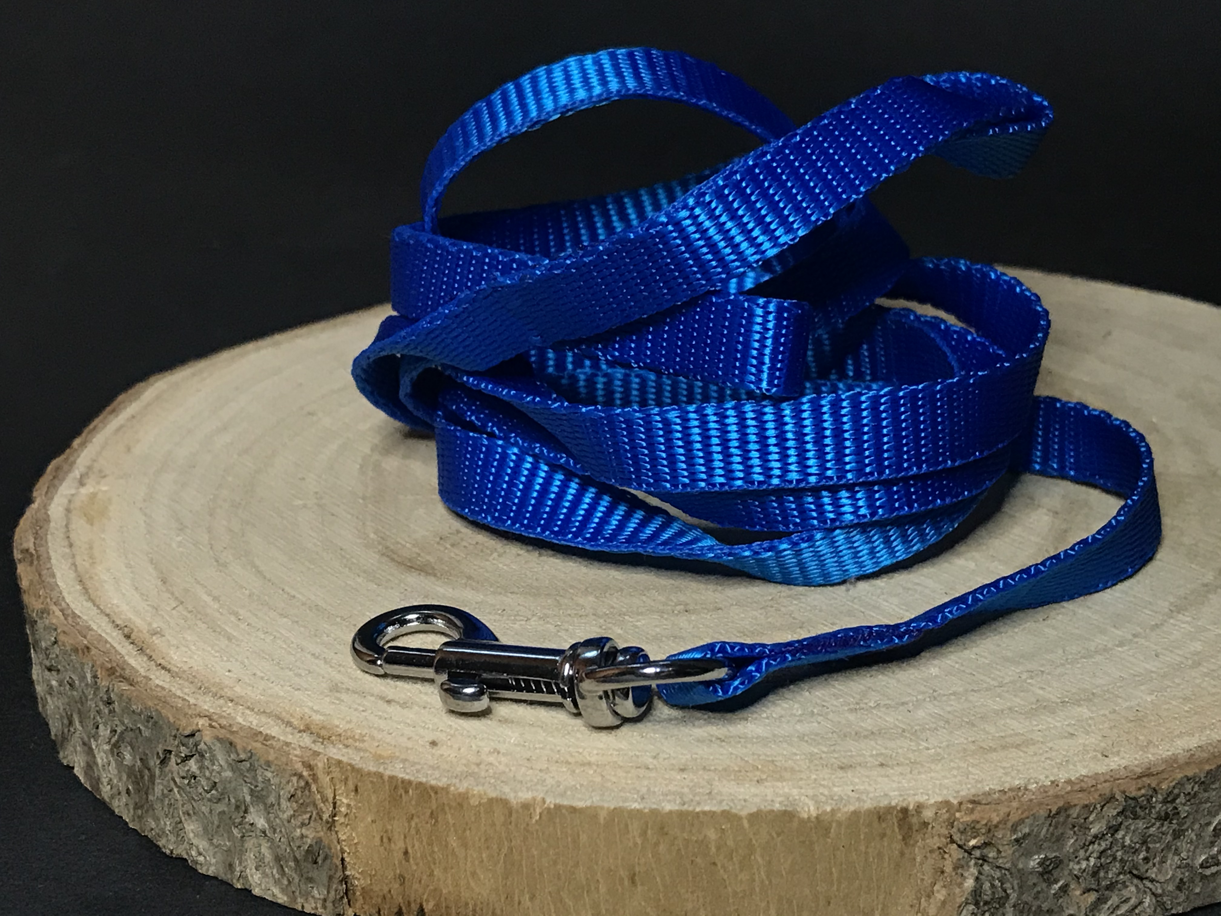 Palkar vodítko z popruhu pre psov 150 cm x 10 mm modrá