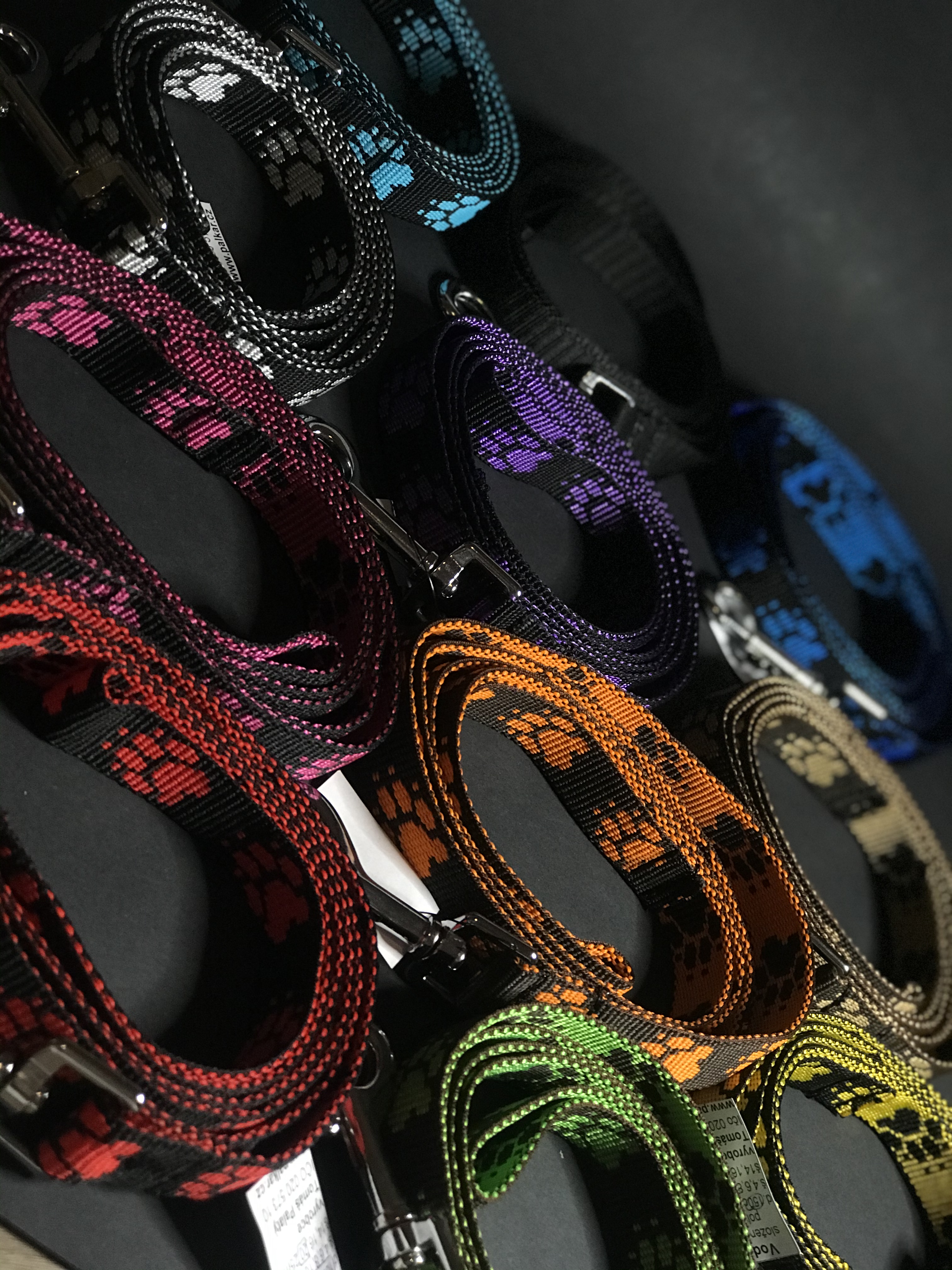 Palkar vodítko z popruhu pre psov 150 cm x 20 mm čierno-modrá s labkami