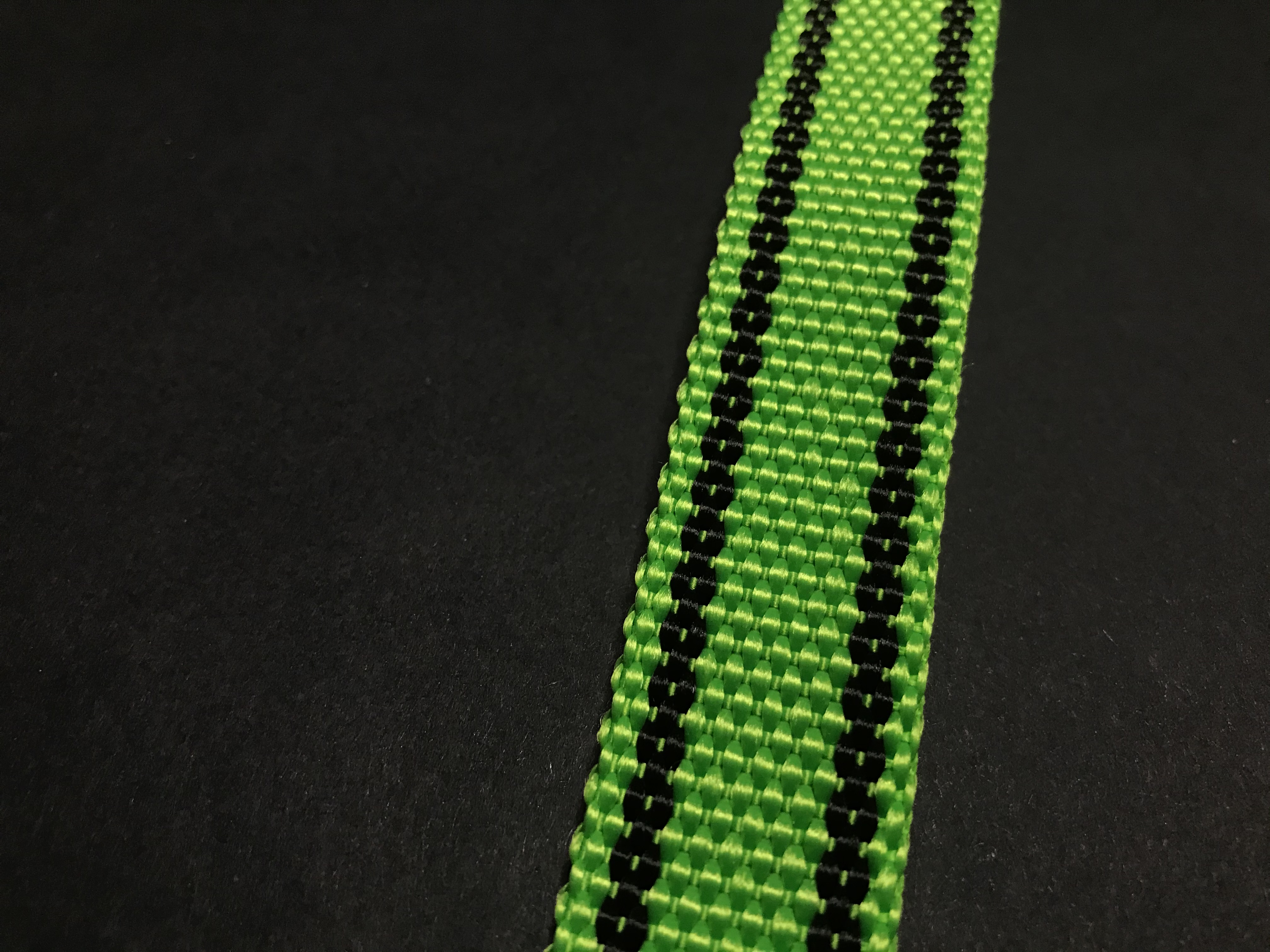 Palkar vodítko z popruhu pre psov 150 cm x 25 mm svetlo-zelená s páskami