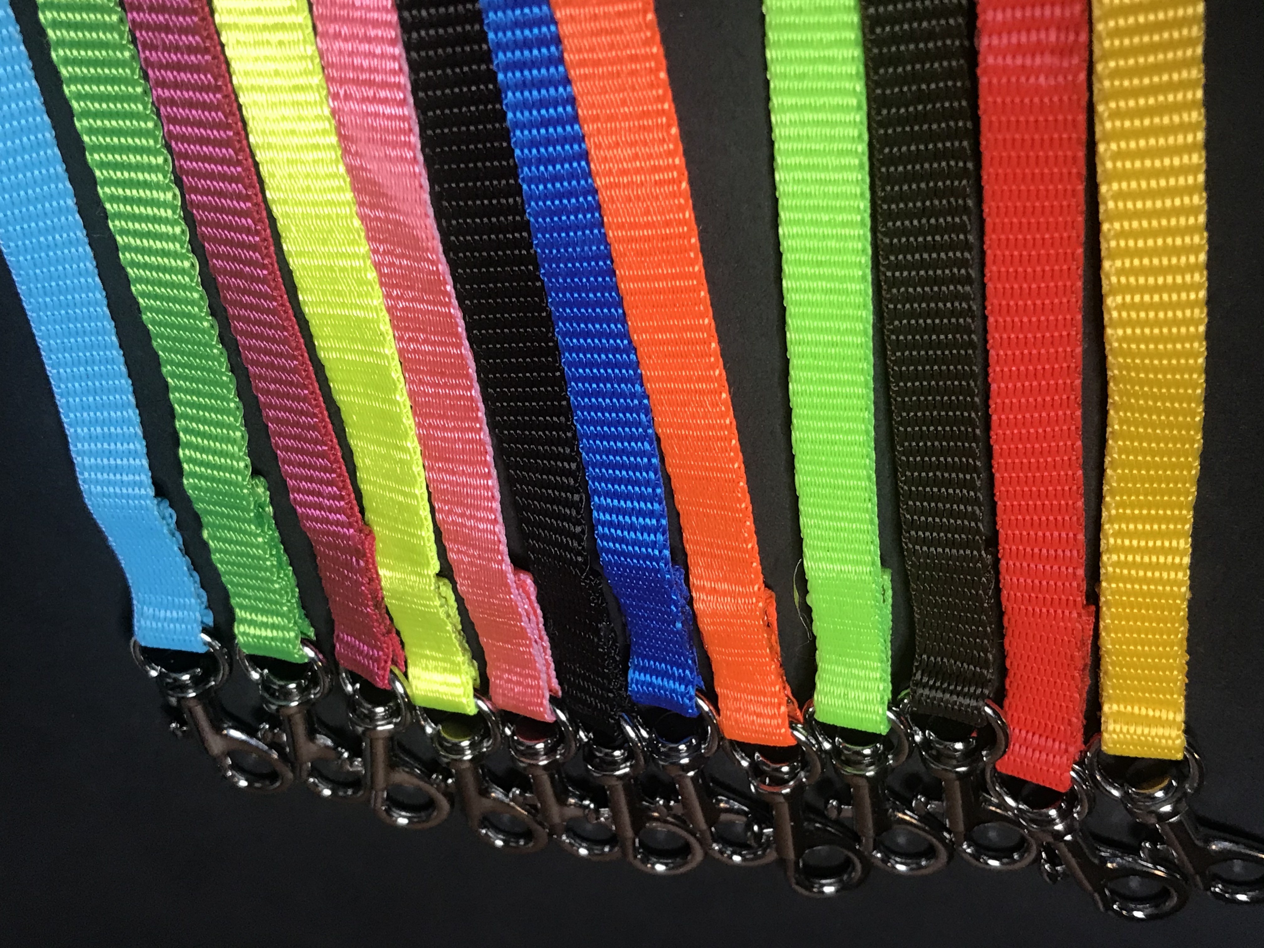 Palkar vodítko prepínacie z popruhu pre psov 250 cm x 10 mm žltá