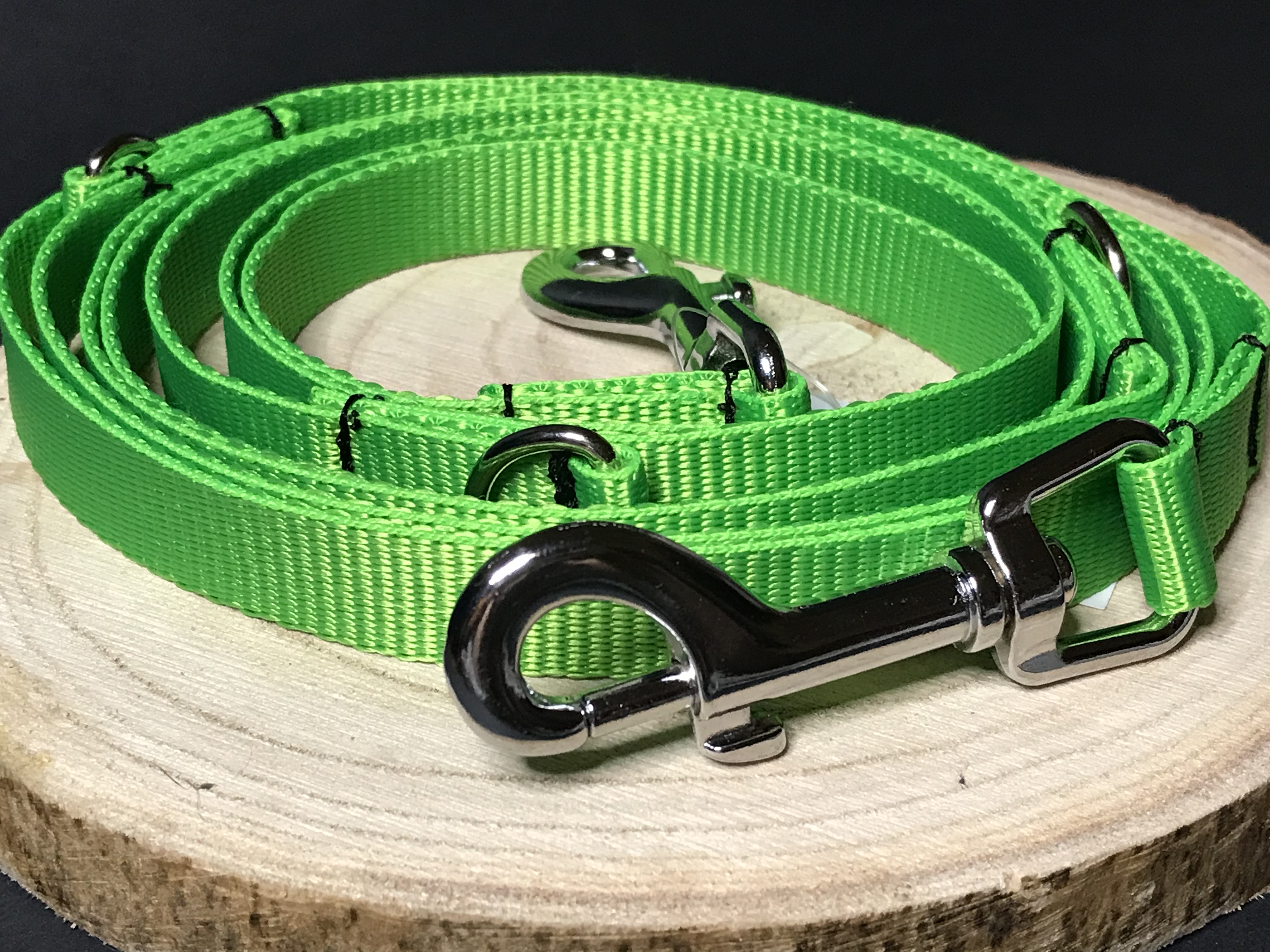 Palkar vodítko prepínacie z popruhu pre psov 250 cm x 16 mm zelená