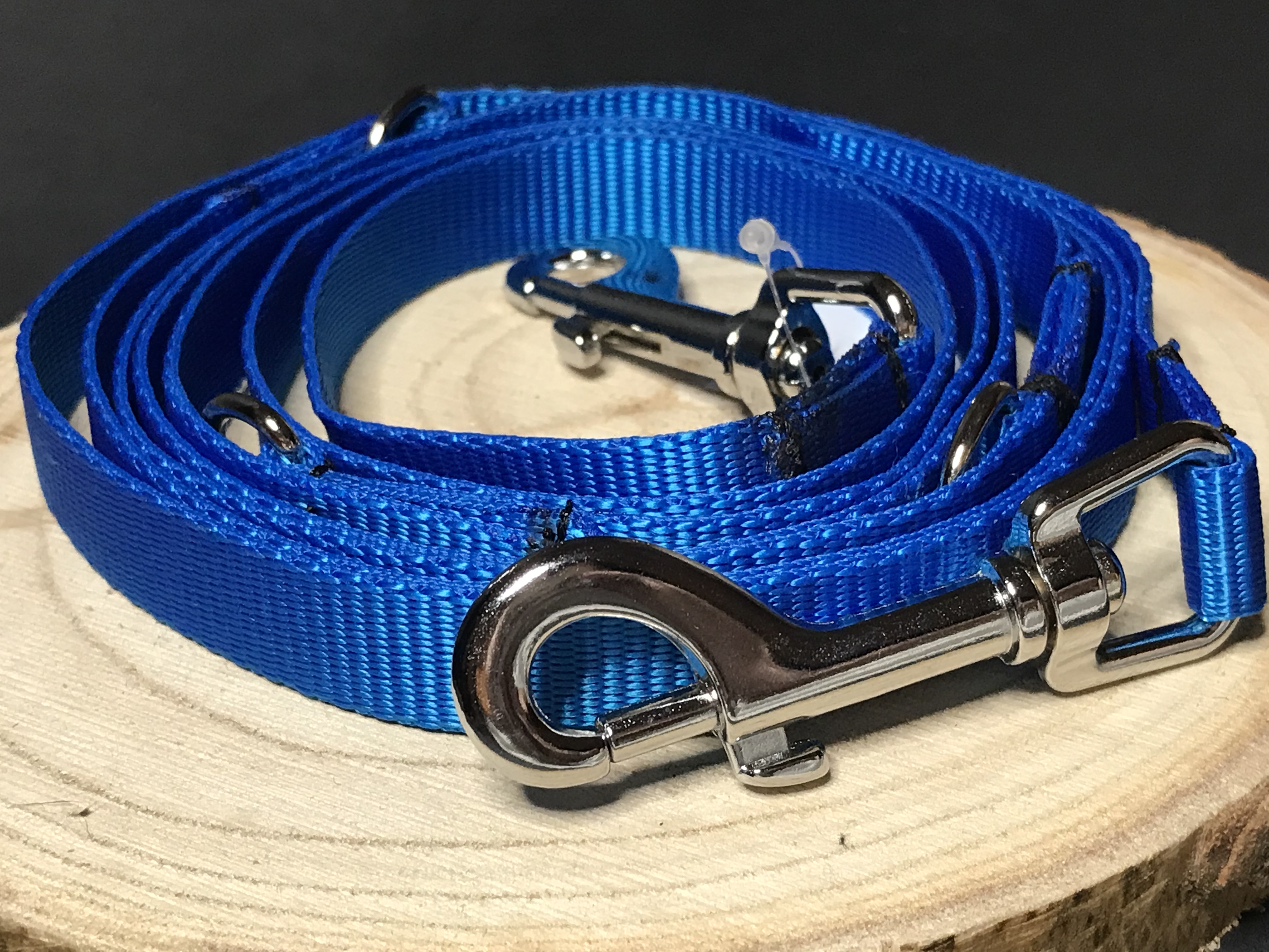Palkar vodítko prepínacie z popruhu pre psov 250 cm x 16 mm modrá