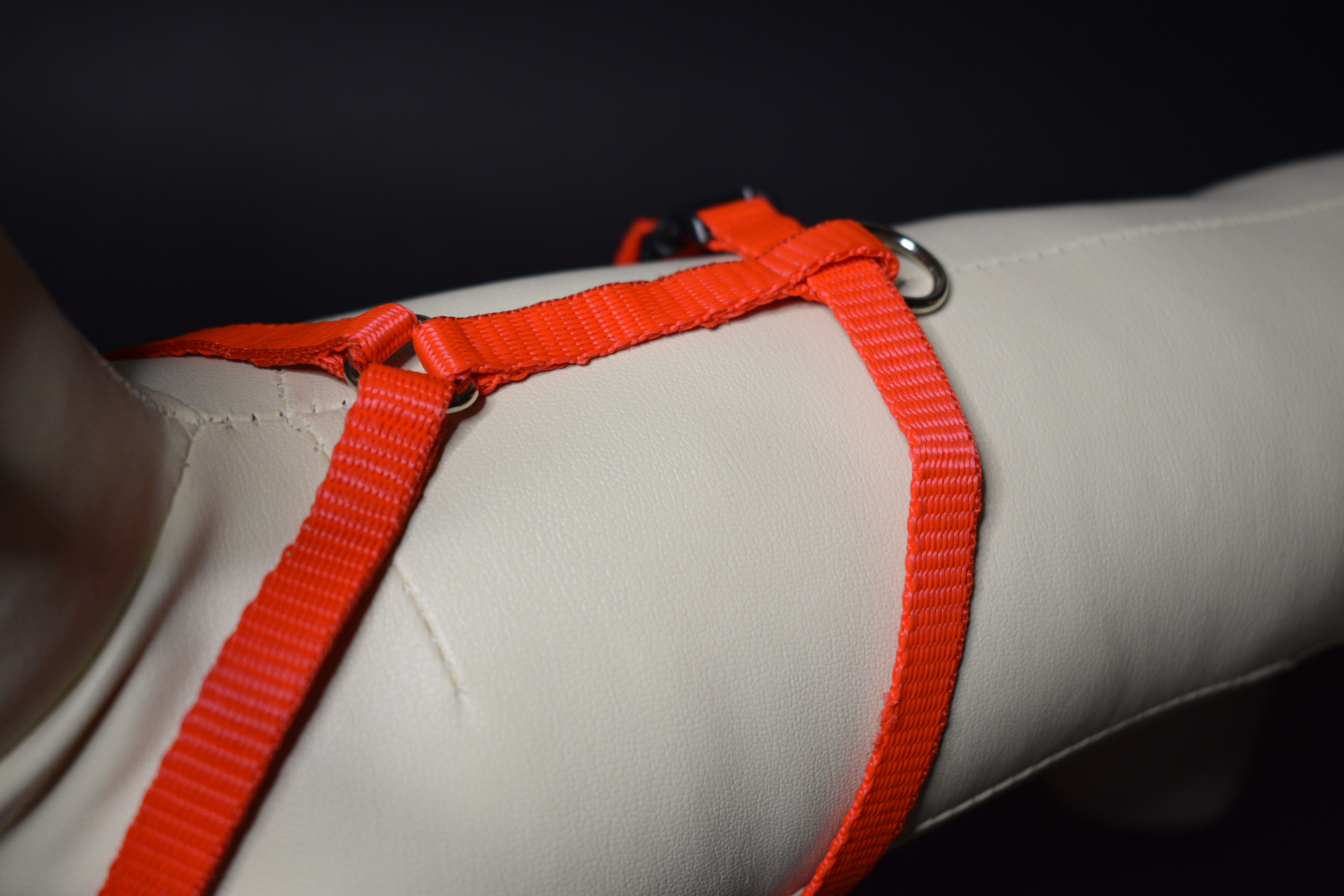 Palkar klasický postroj pre psov 22 cm - 40 cm veľ. 1 červená