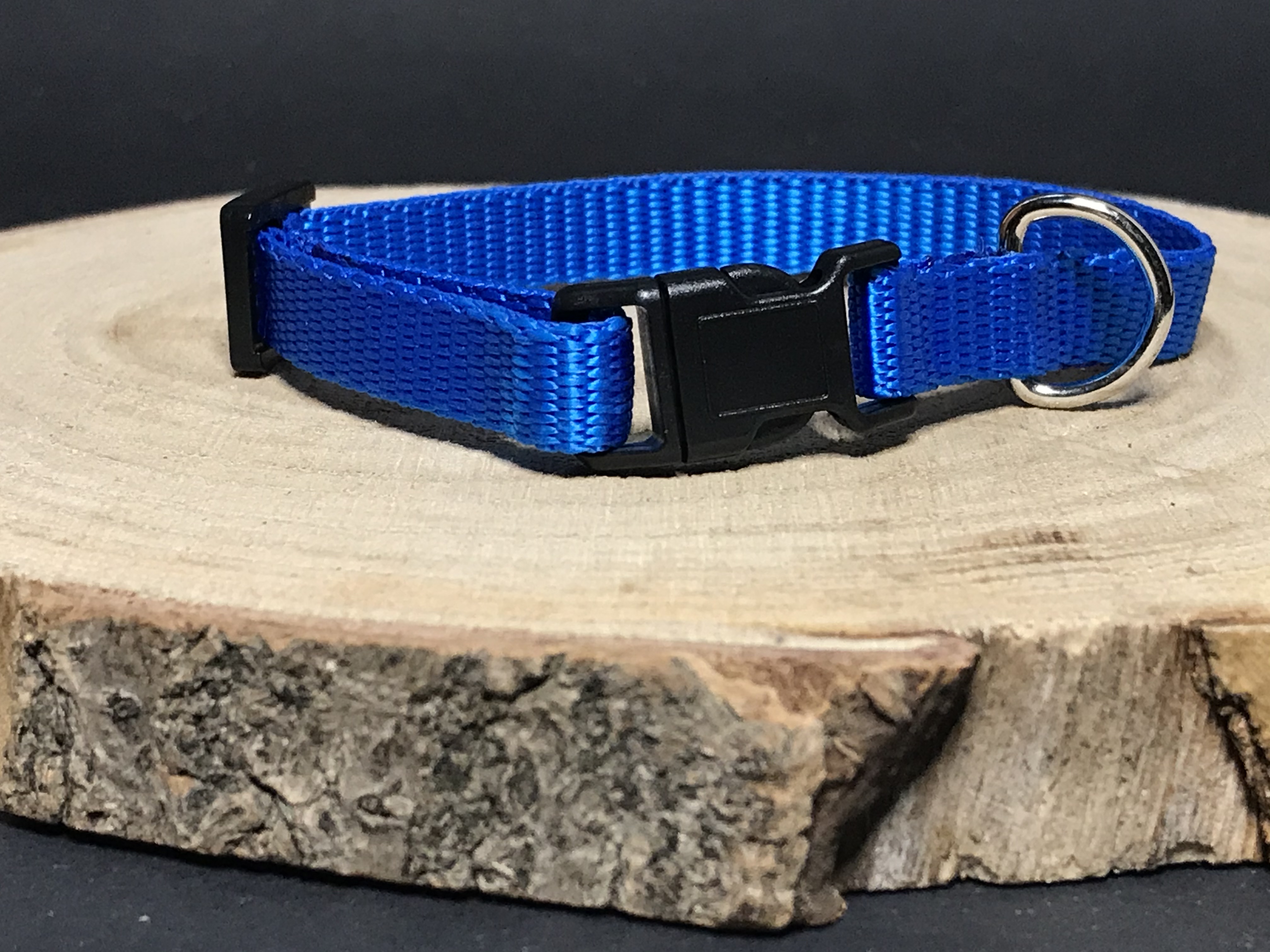 Palkar obojok z popruhu pre psov 25 cm x 10 mm modrá