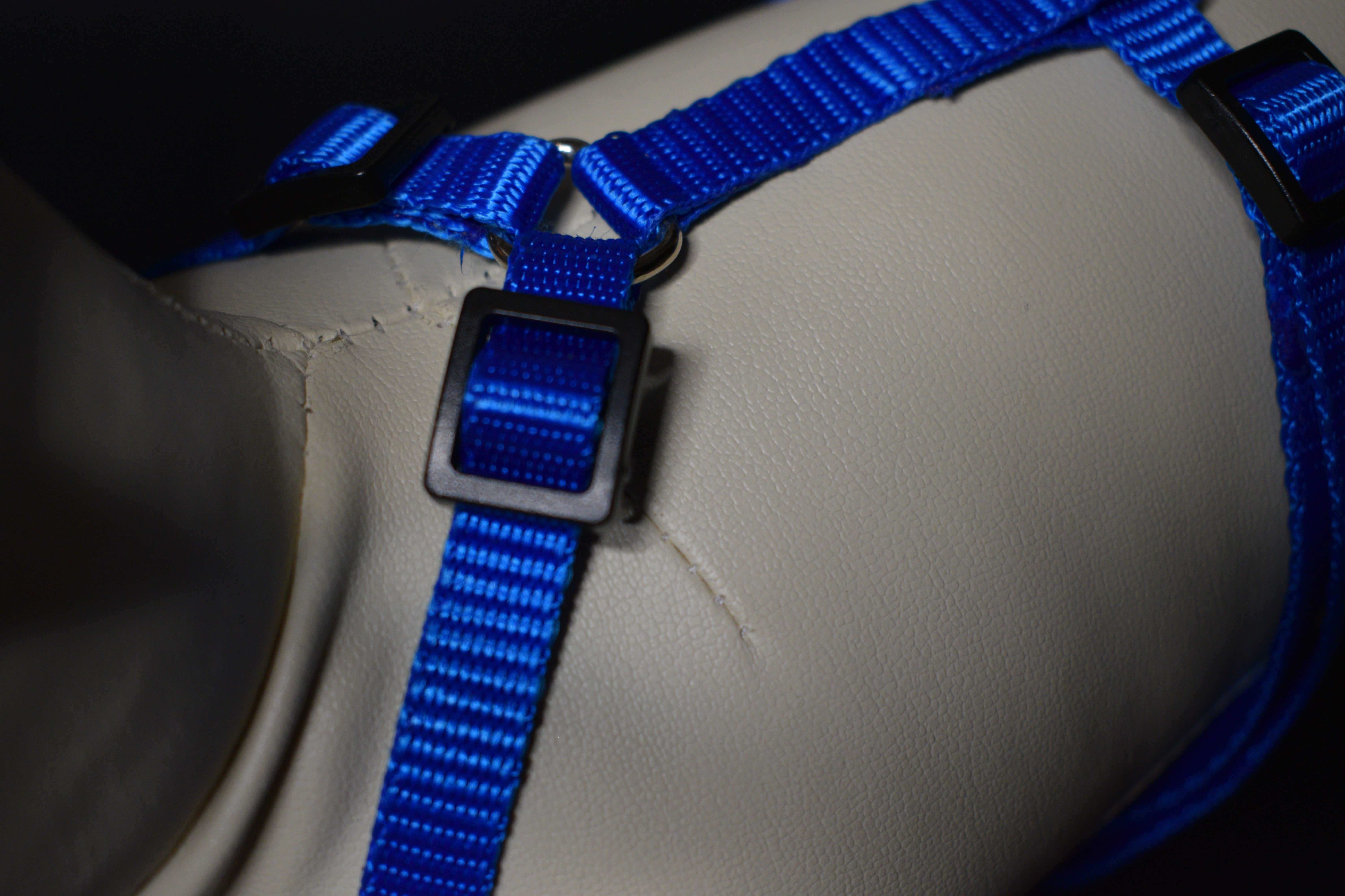 Palkar klasický postroj pre psov 22 cm - 40 cm veľ. 1 modrá