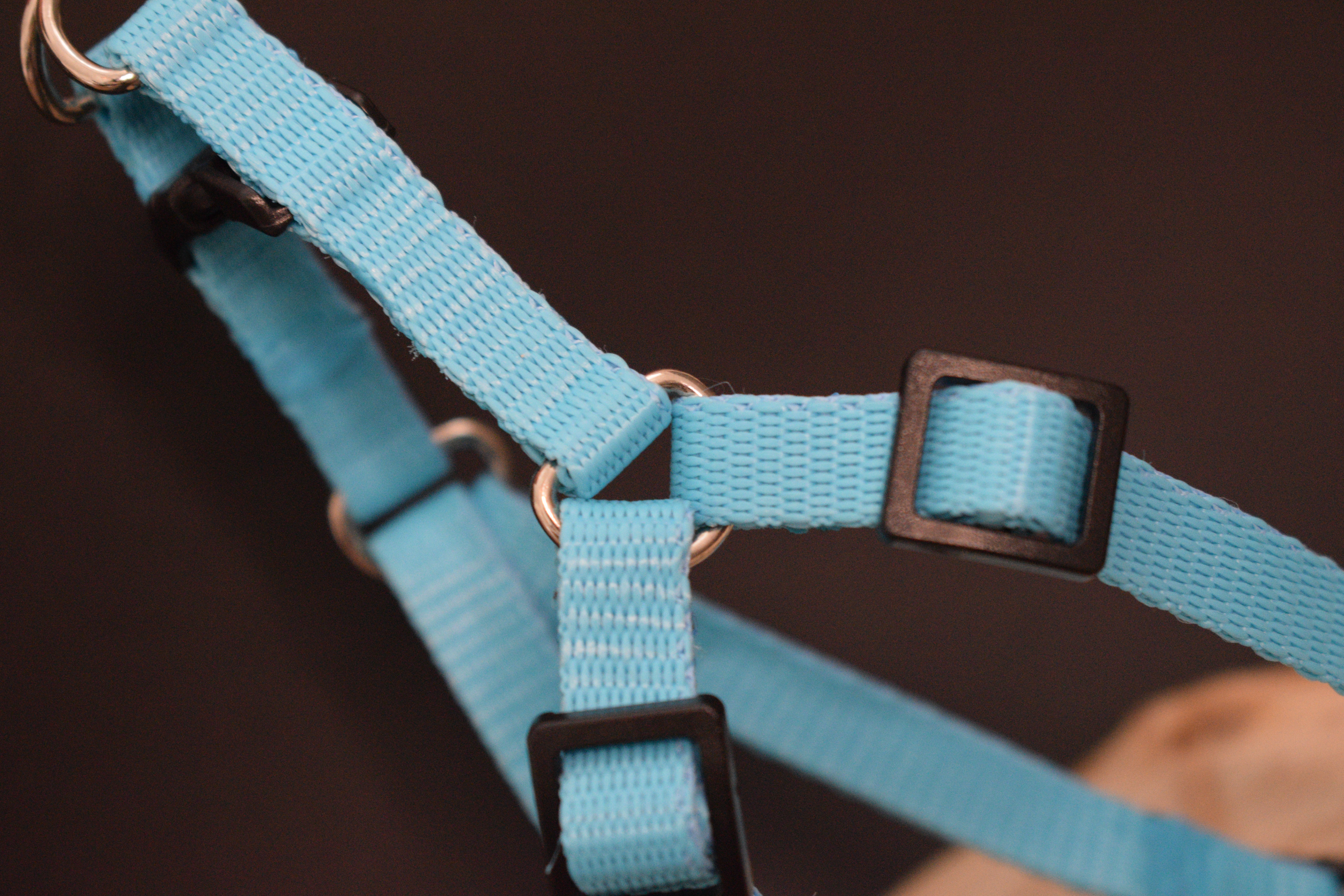 Palkar motýlik postroj pre psov 28 cm - 40 cm veľ. 1 tyrkysová