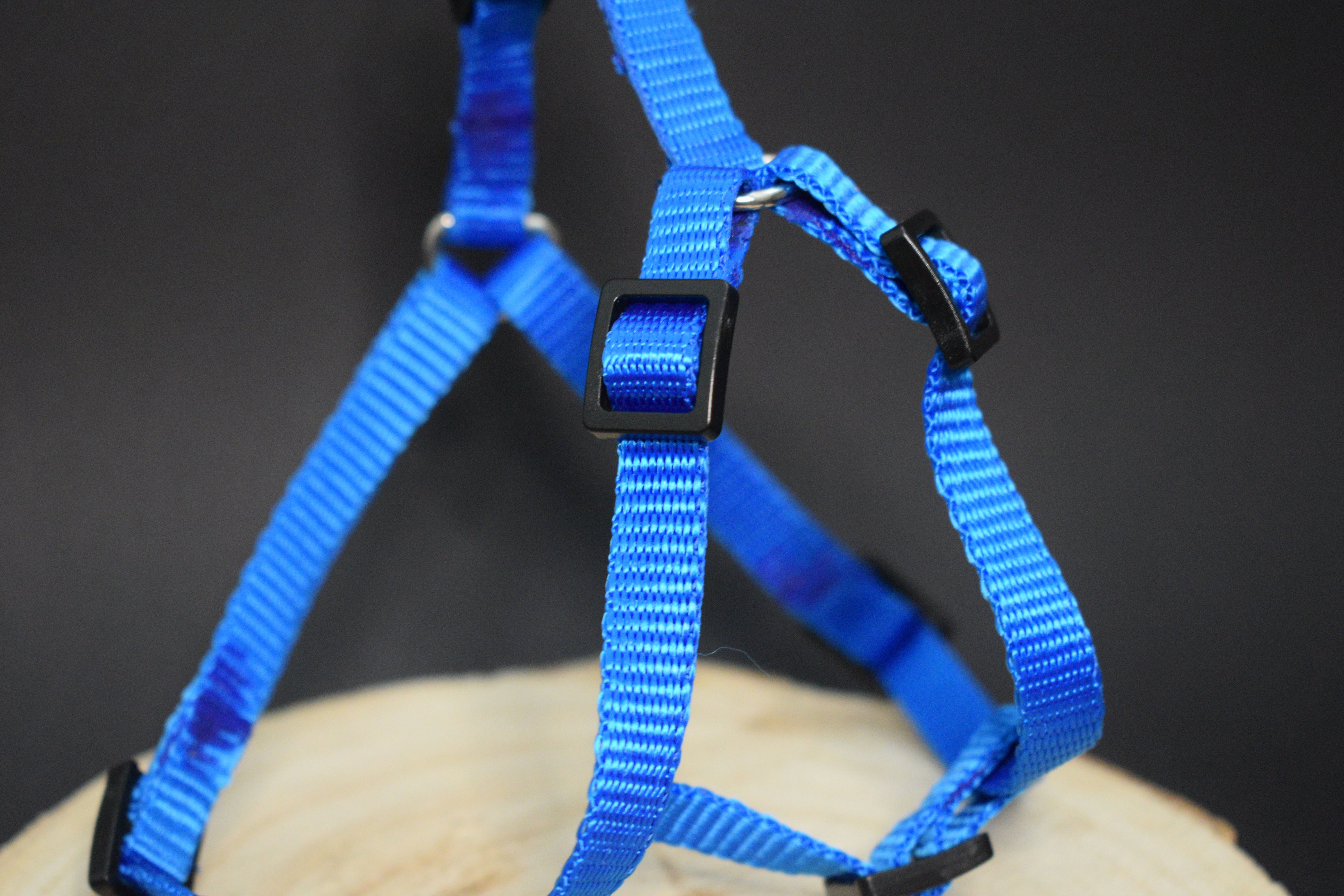 Palkar motýlik postroj pre psov 28 cm - 40 cm veľ. 1 modrá
