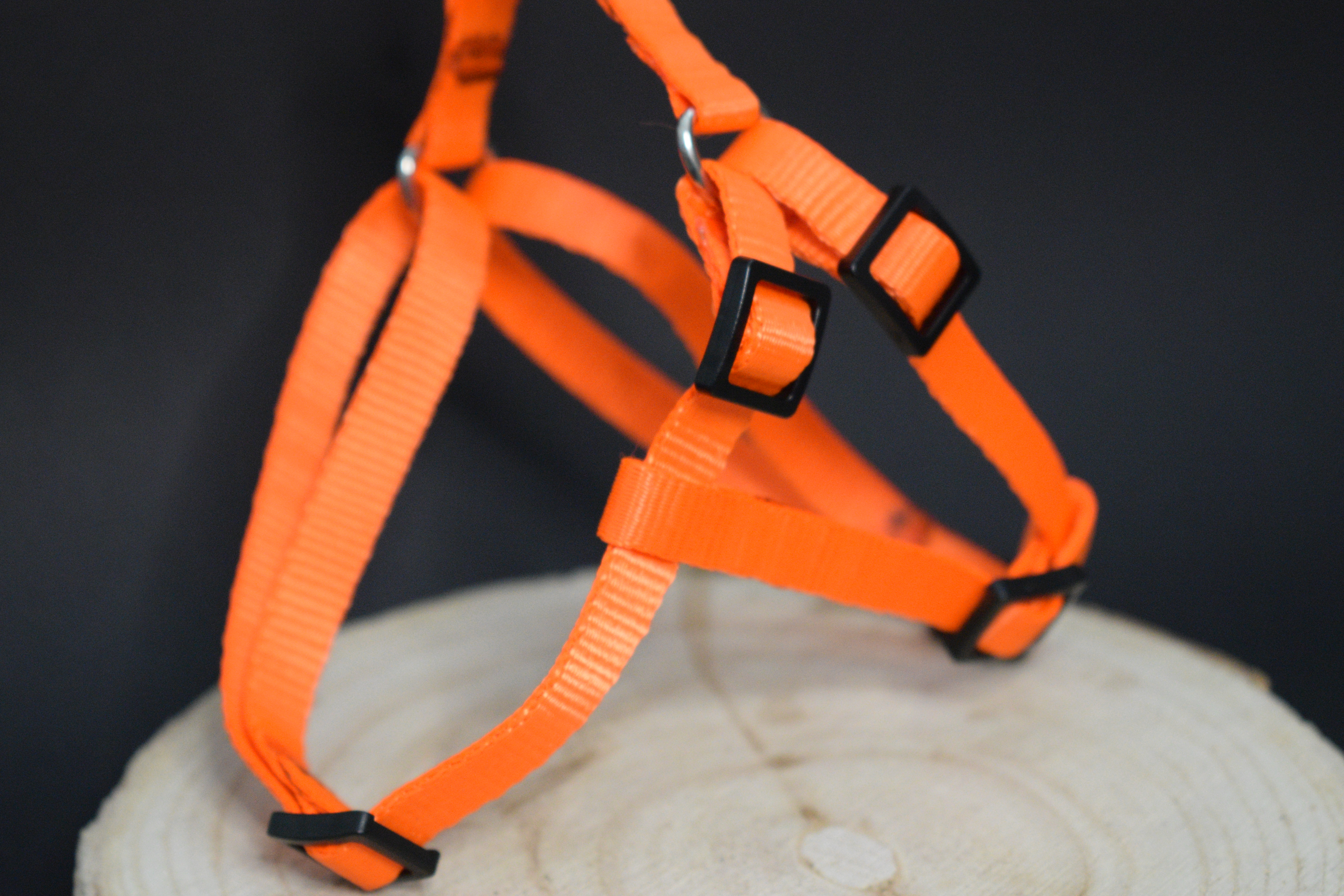 Palkar motýlik postroj pre psov 28 cm - 40 cm veľ. 1 oranžová-lesklá