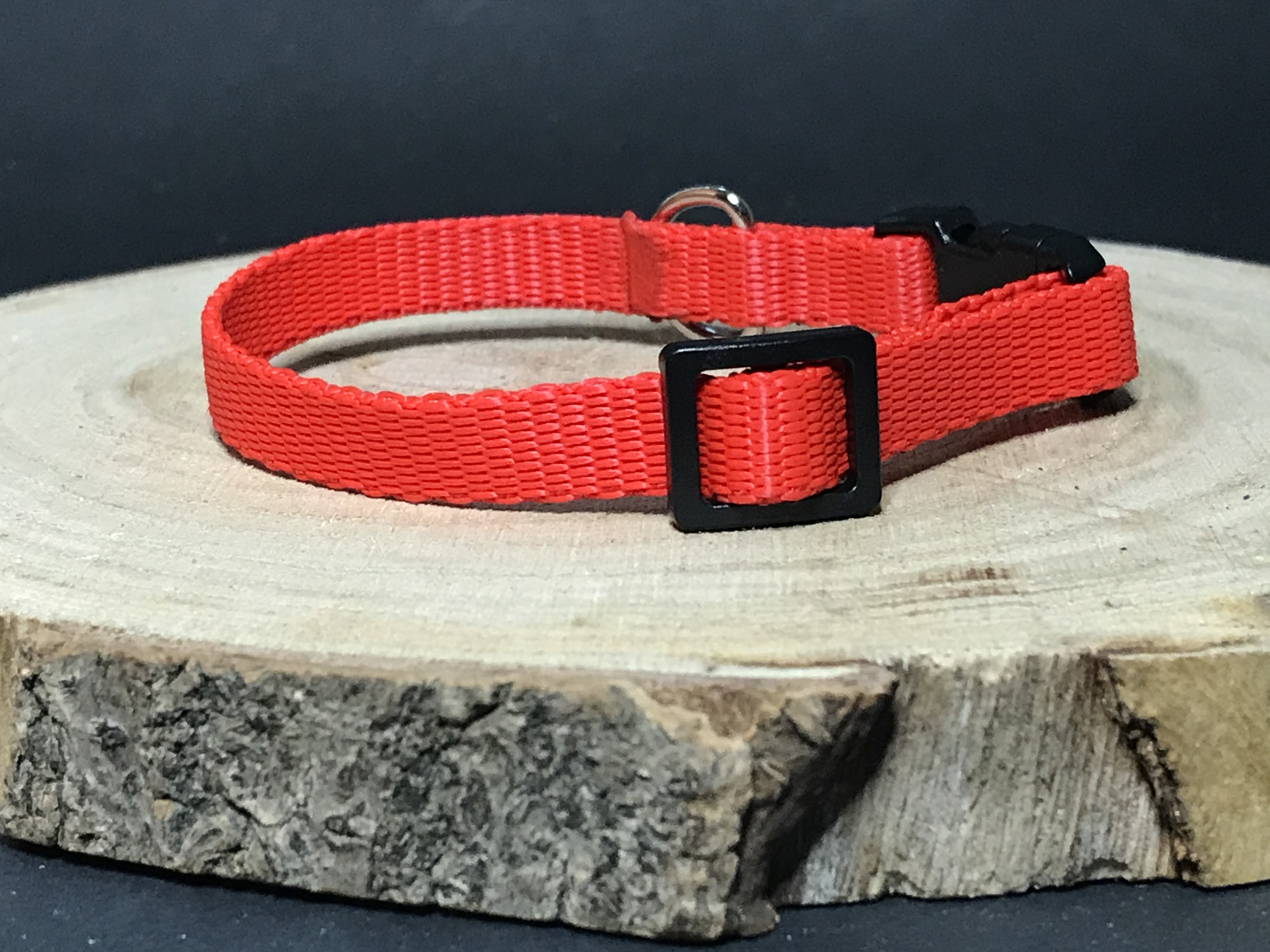 Palkar obojok z popruhu pre psov 25 cm x 10 mm červená