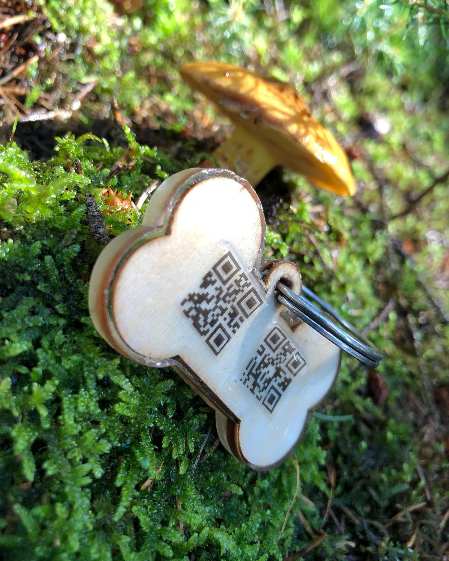 SMART Drevená známka pre psa s QR kódom - srdiečko