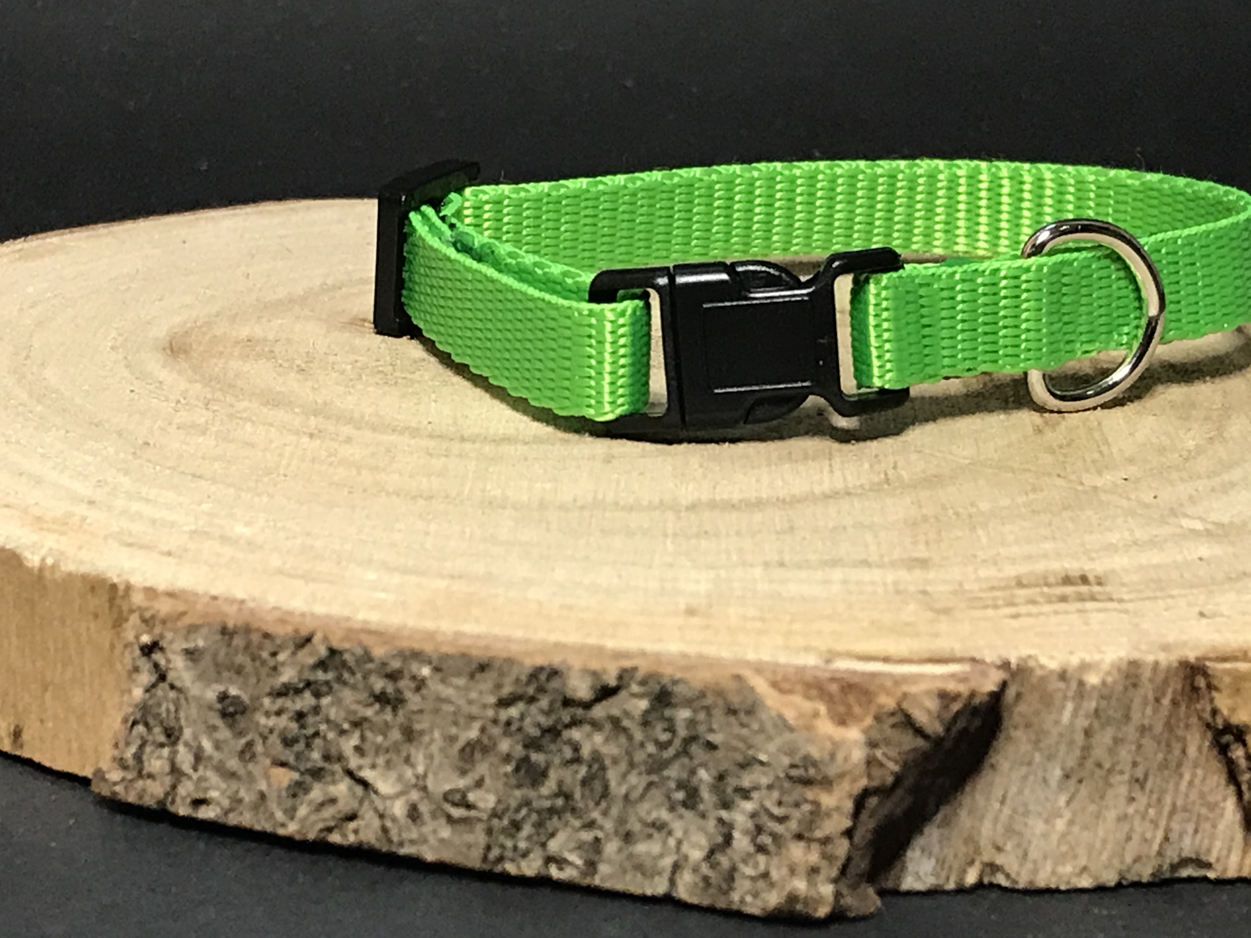 Palkar obojok z popruhu pre psov 25 cm x 10 mm zelená