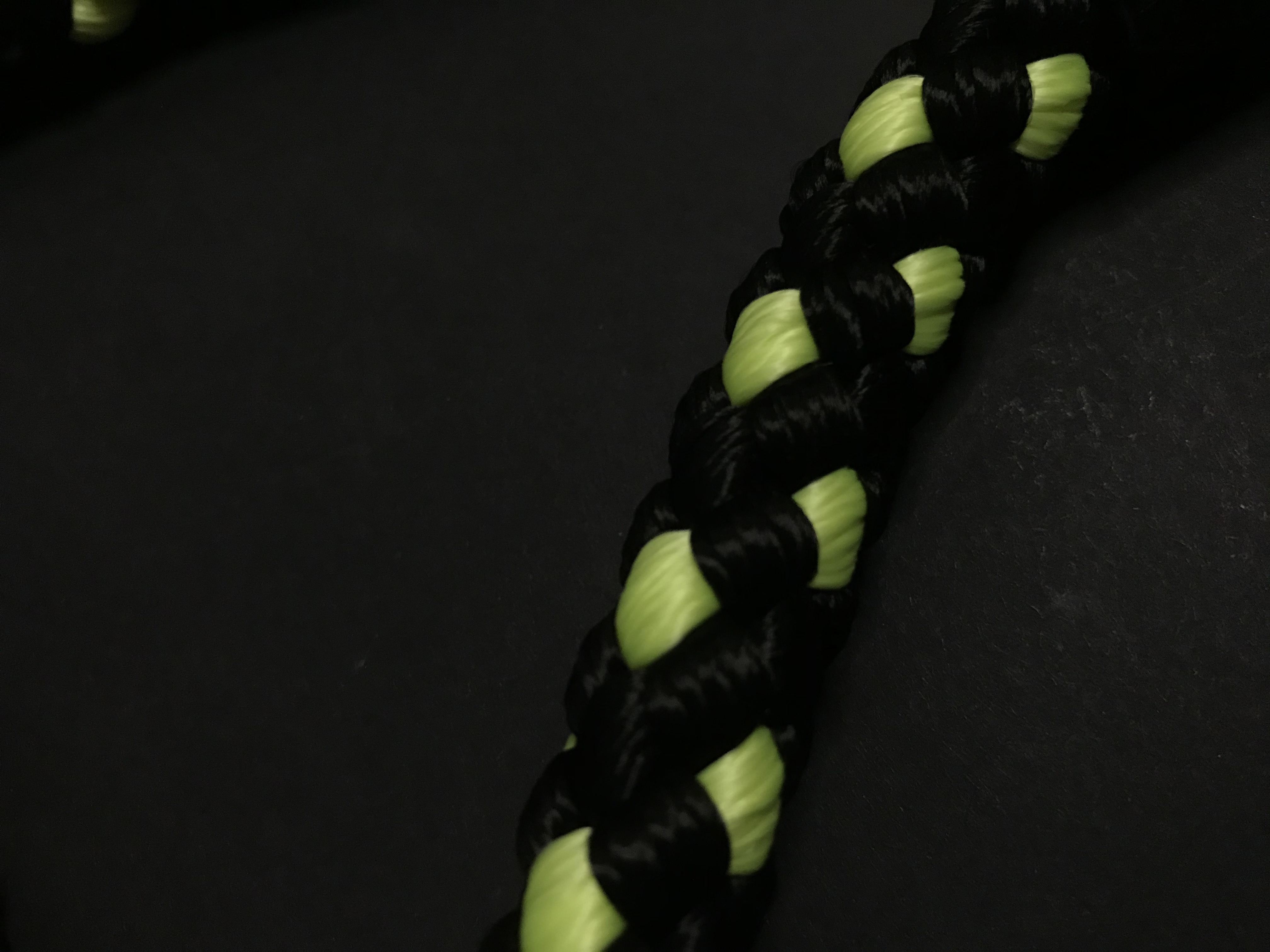 Palkar prepínacie vodítko pre psov 250 cm x 14 mm čierno-fosforová