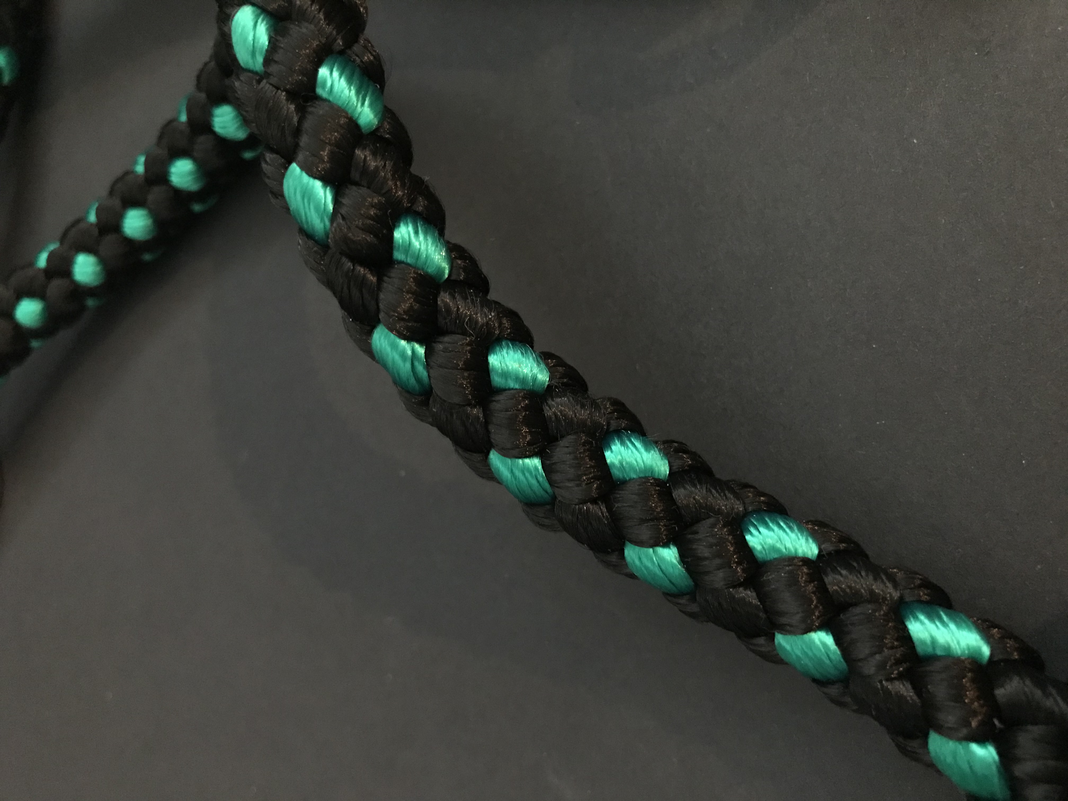 Palkar prepínacie vodítko pre psov 250 cm x 14 mm čierno-zelená