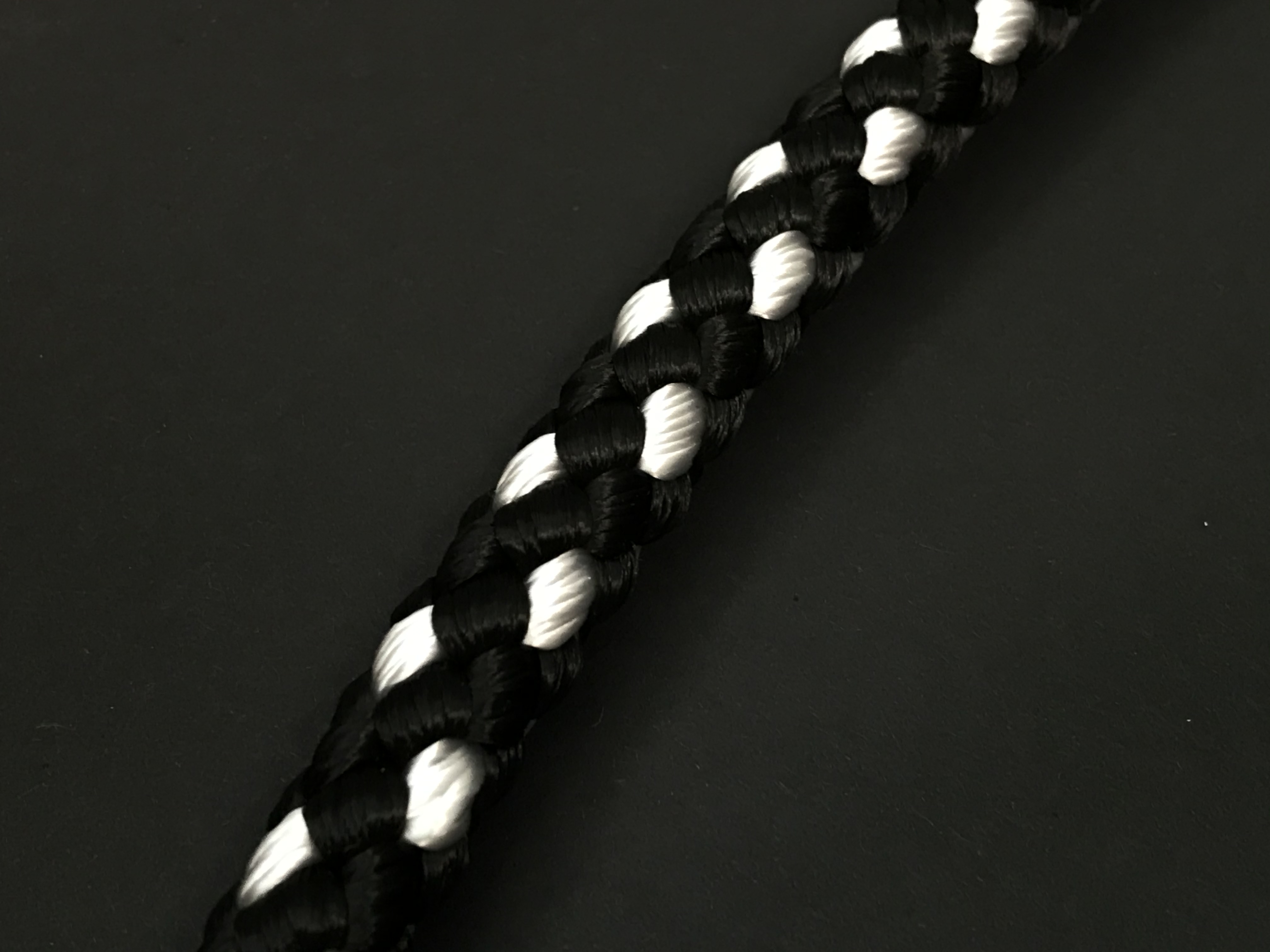 Palkar prepínacie vodítko pre psov 250 cm x 14 mm čierno-biela