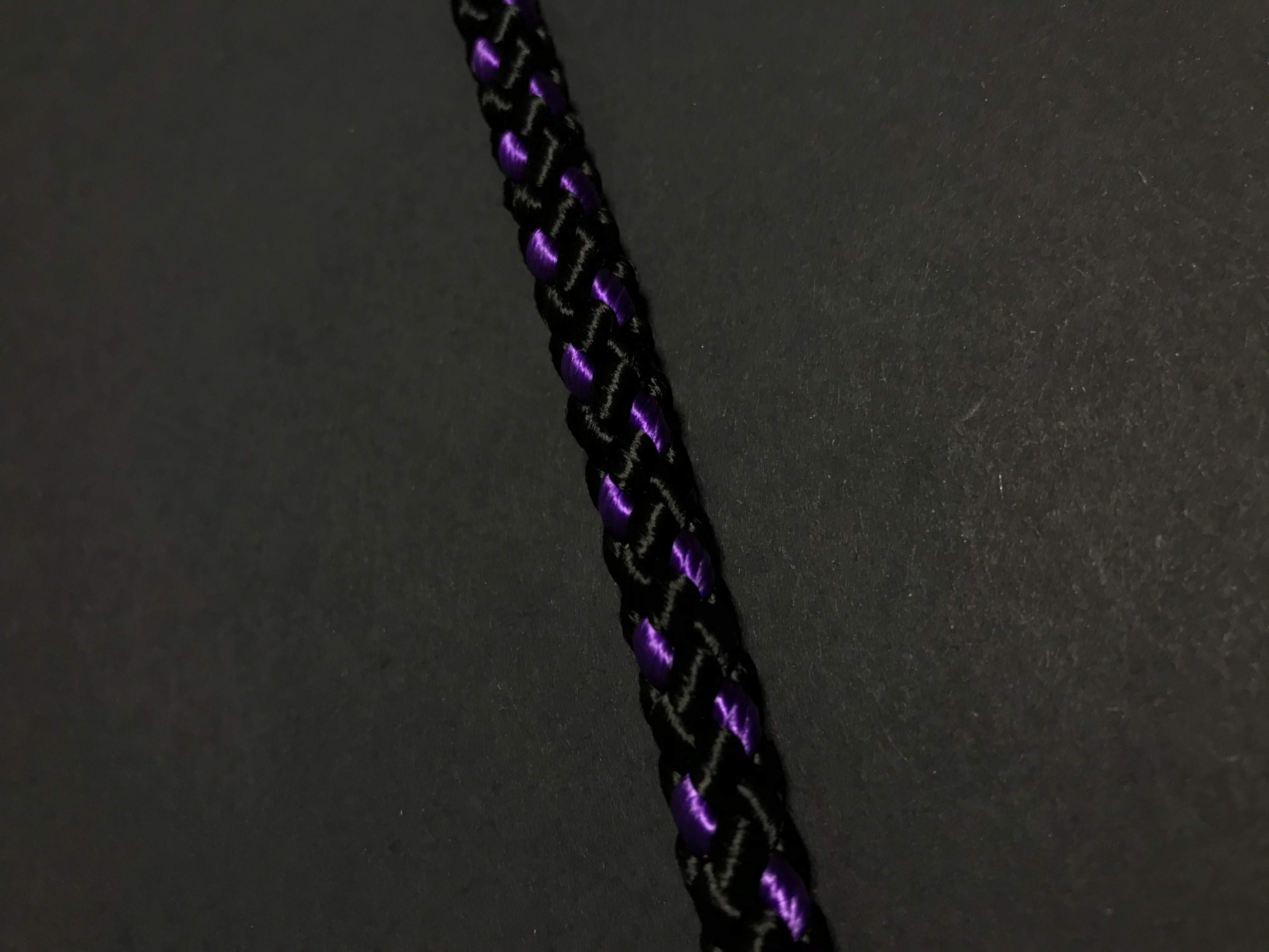 Palkar prepínacie vodítko pre psov 250 cm x 8 mm čierno-fialová
