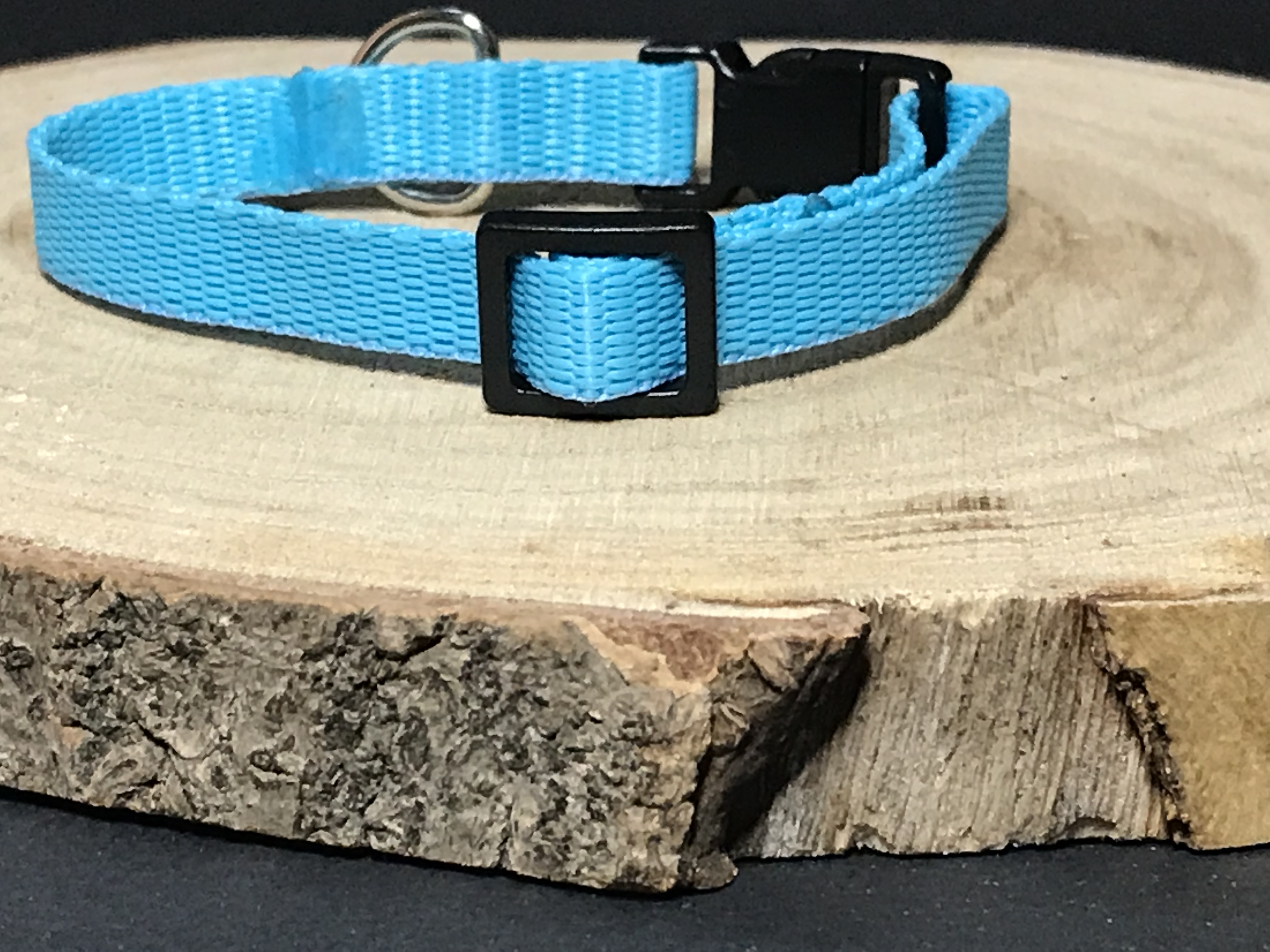 Palkar obojok z popruhu pre psov 25 cm x 10 mm svetlo-modrá