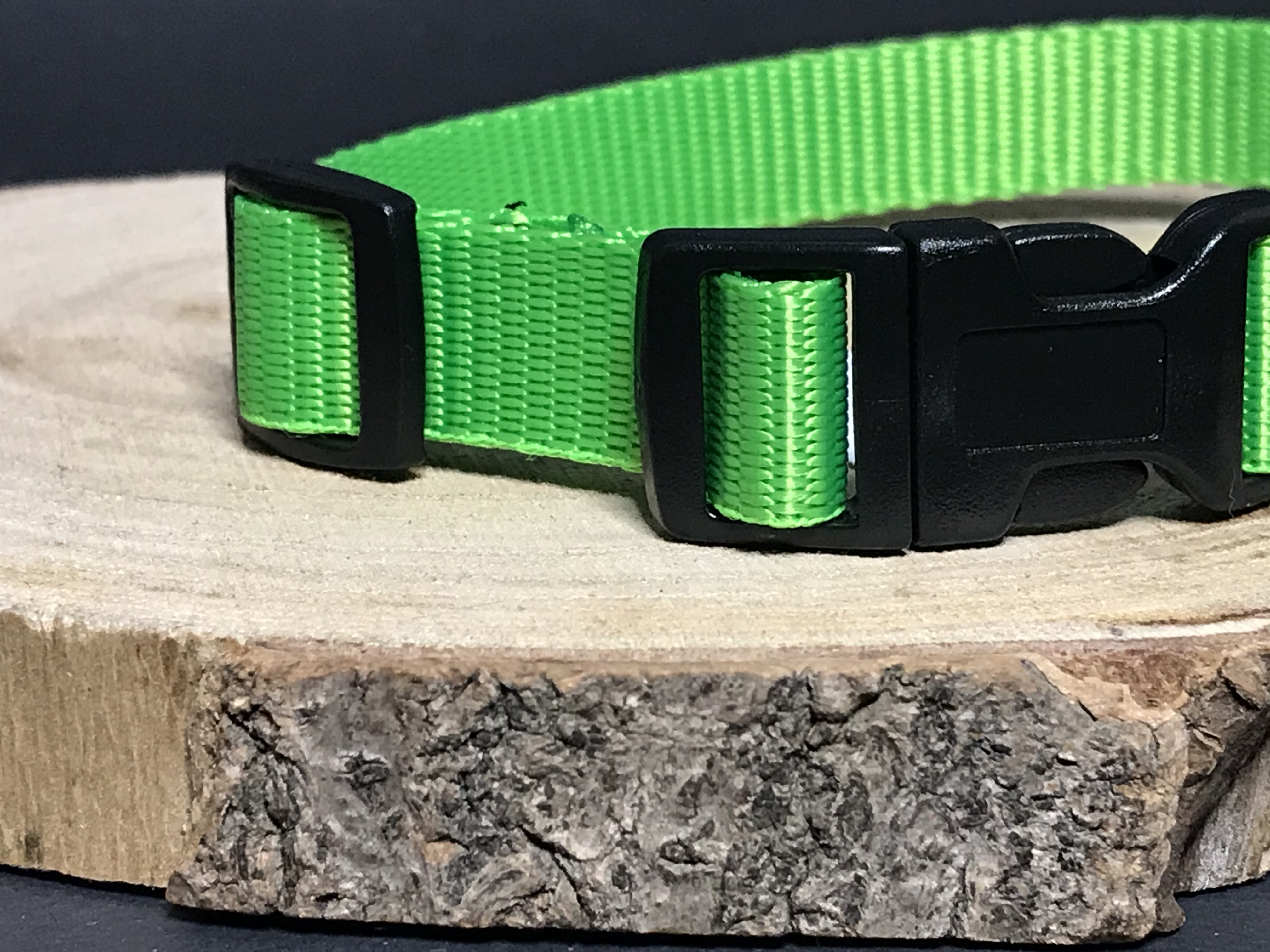 Palkar obojok z popruhu pre psov 35 cm x 16 mm zelená