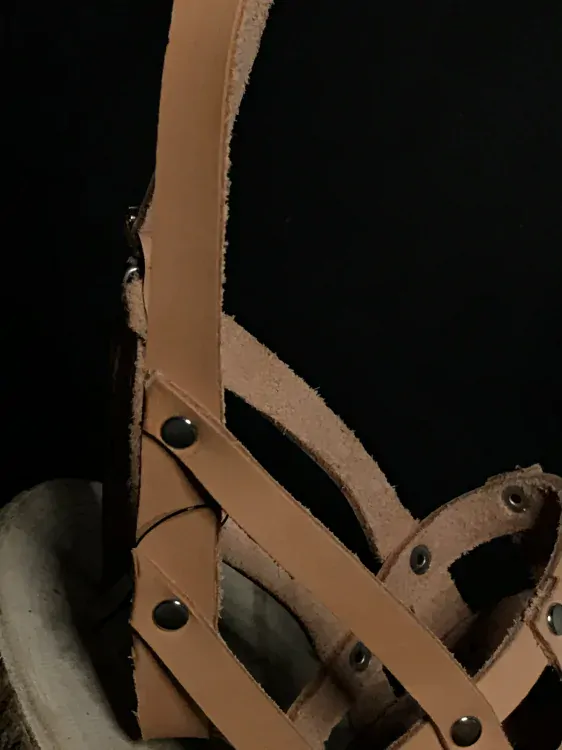 Palkar kožený náhubok pre psov veľ. 2 24 cm x 7 cm prírodný