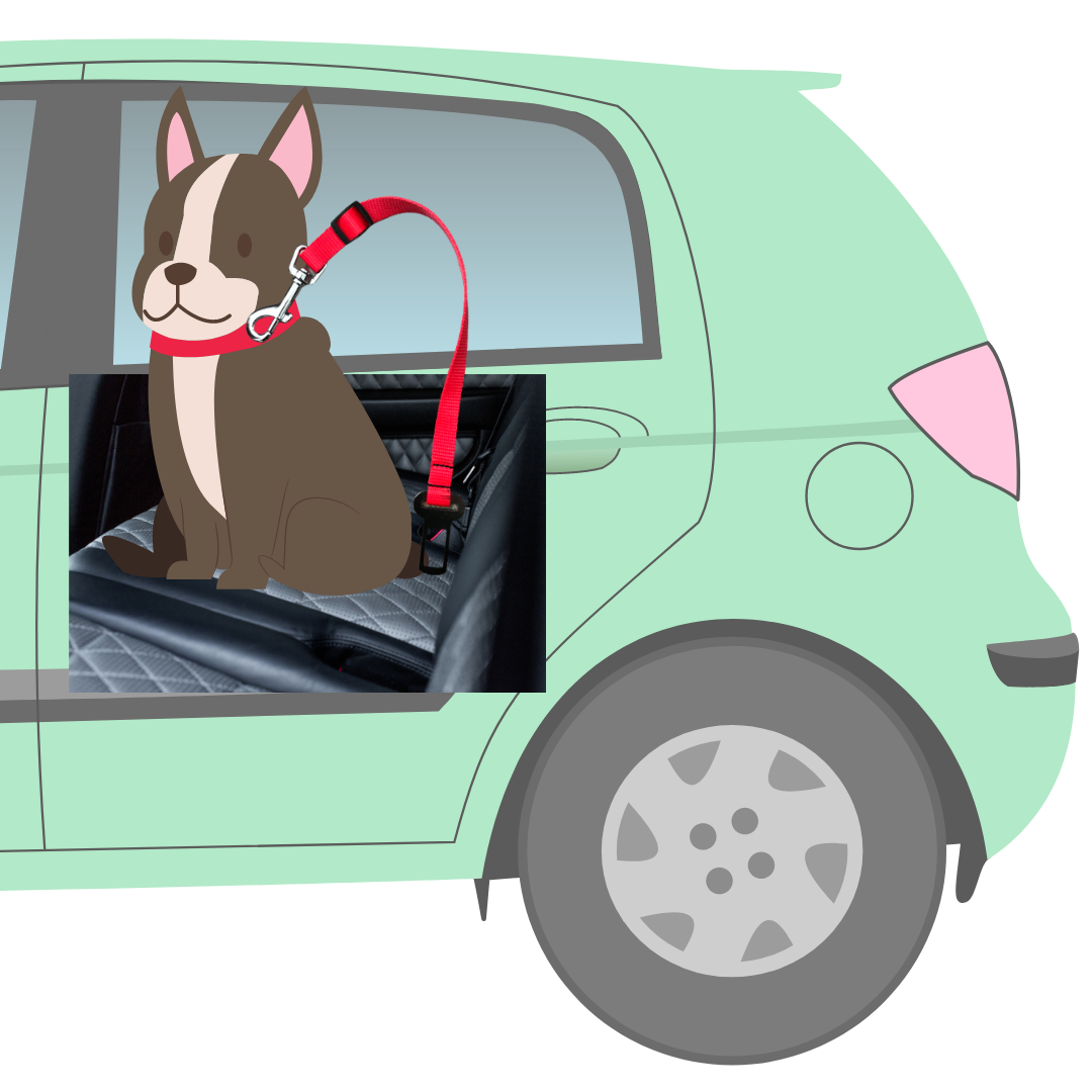 Bezpečnostný pás do auta pre malé psy 50 cm x 16 mm čierno-červená s labkami