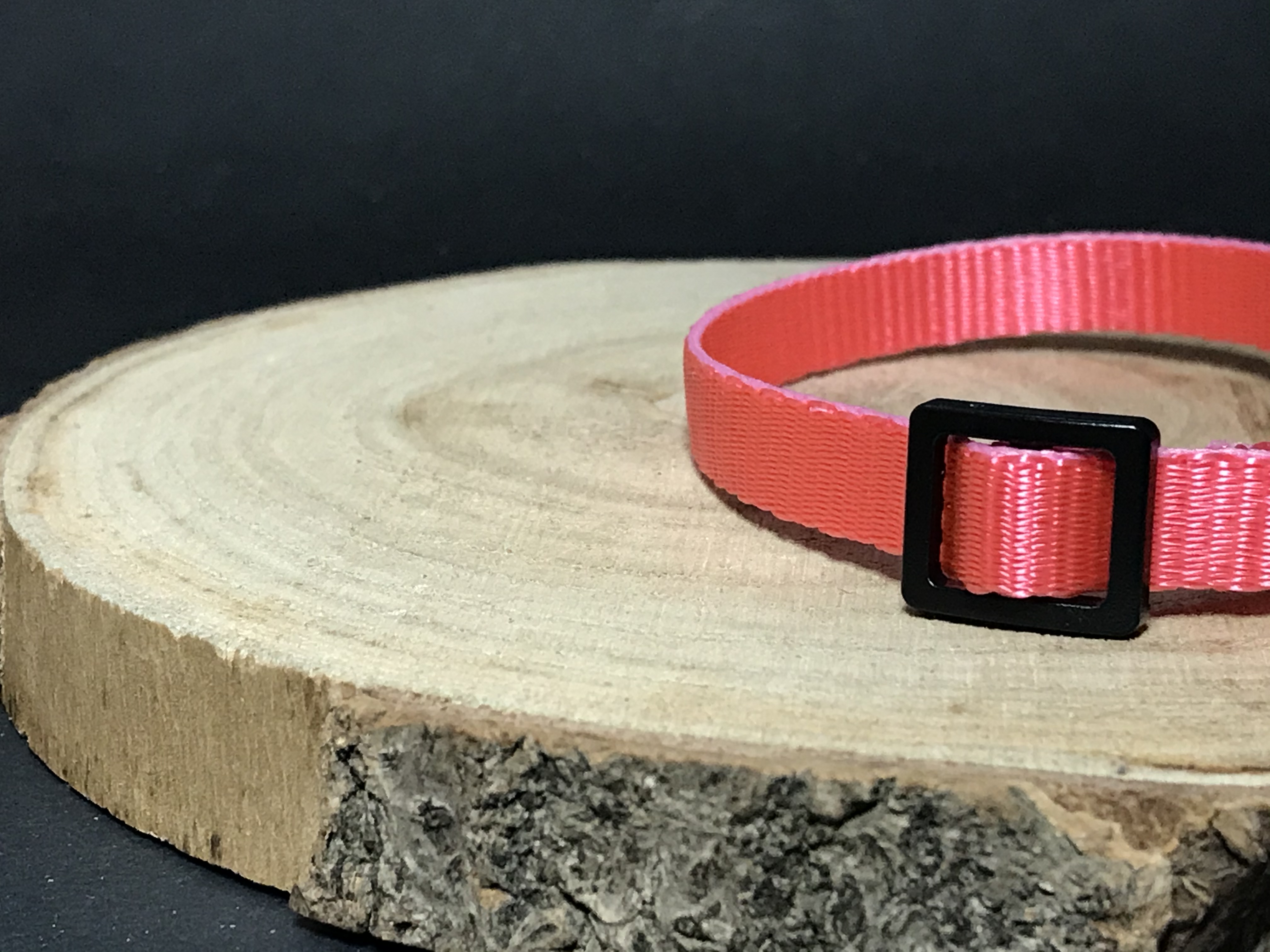 Palkar obojok z popruhu pre psov 25 cm x 10 mm ružová