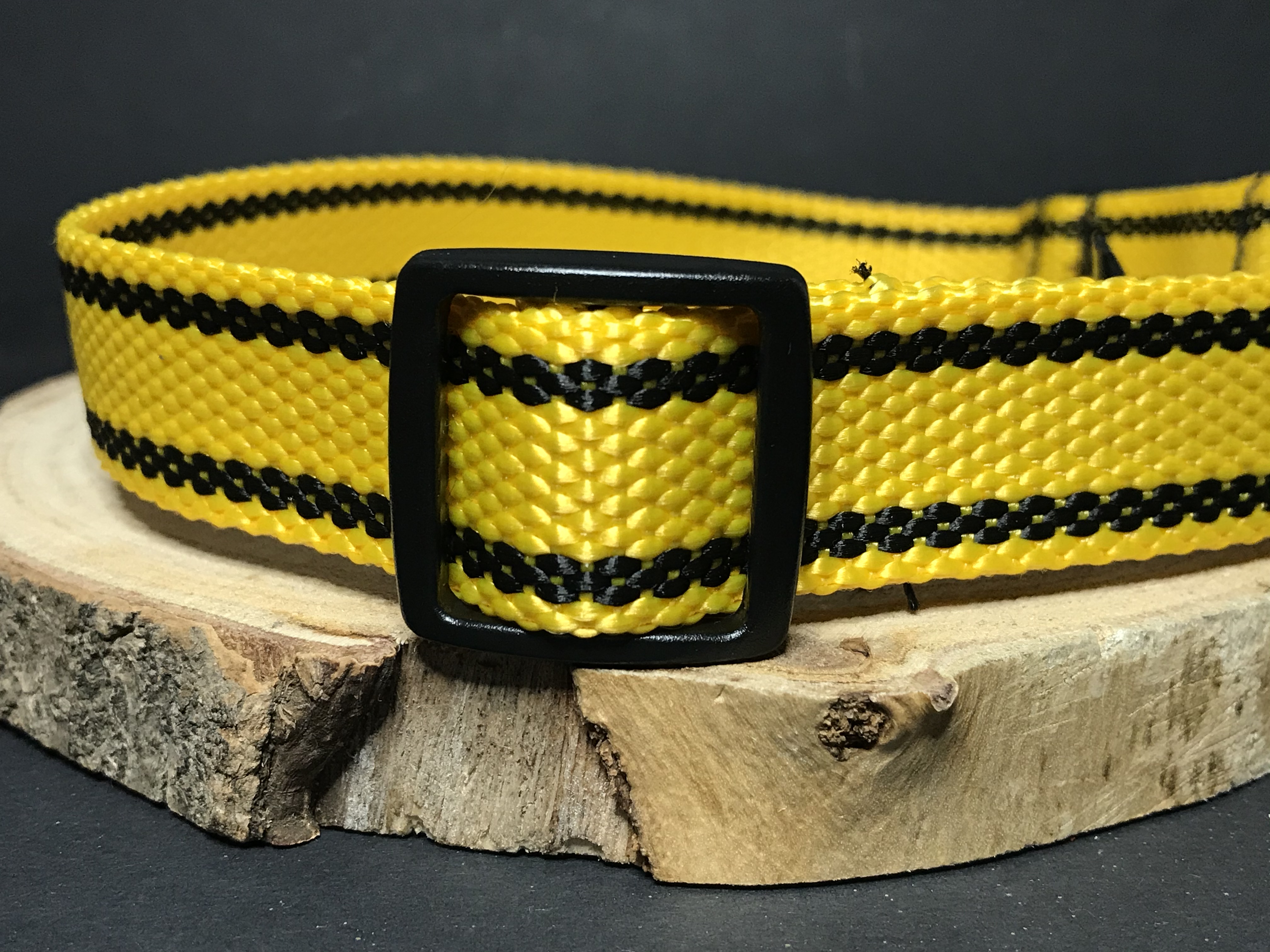 Palkar obojok z popruhu pre psov 65 cm x 25 mm žltá s páskami